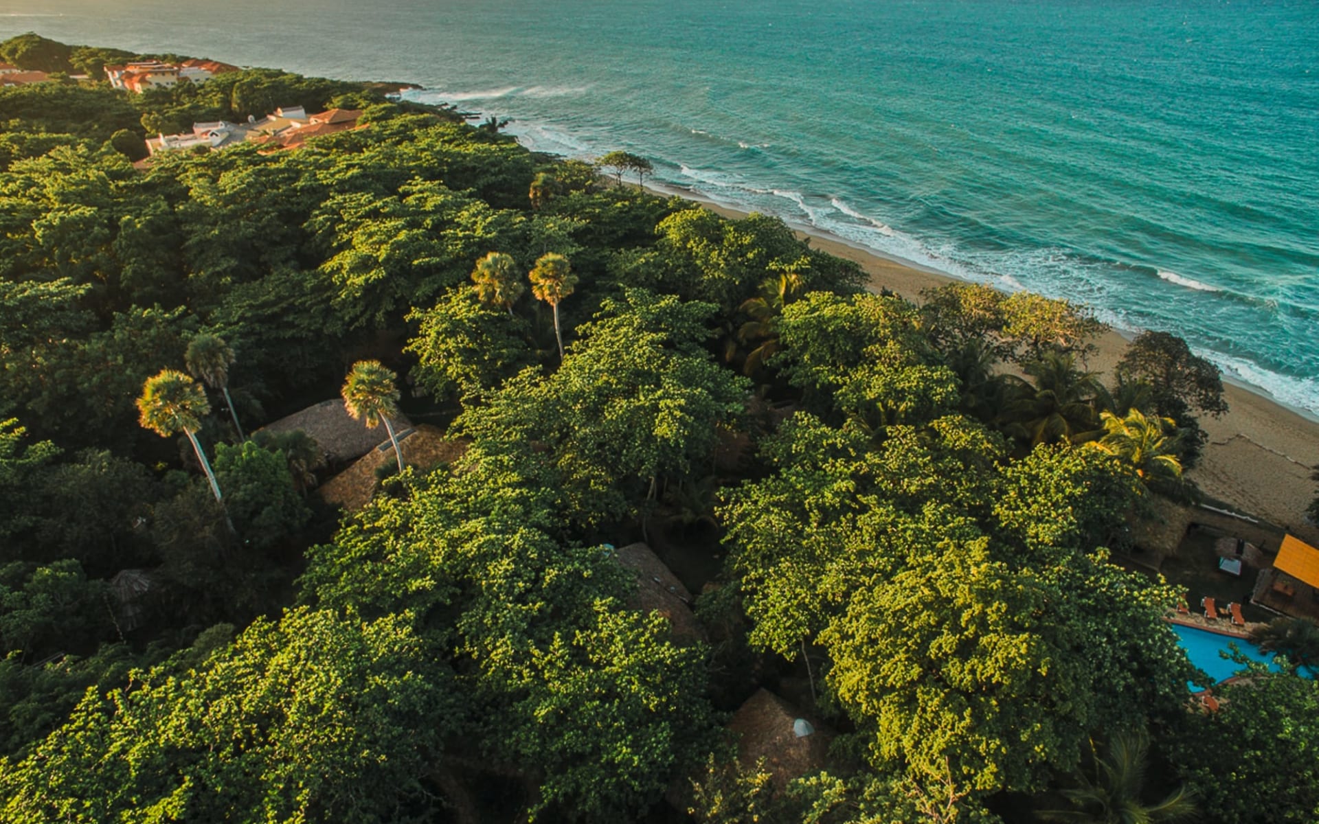 Natura Cabaña in Cabarete: exterior Forest Ocean Natura Cabana - Exterior View cLatinconnect