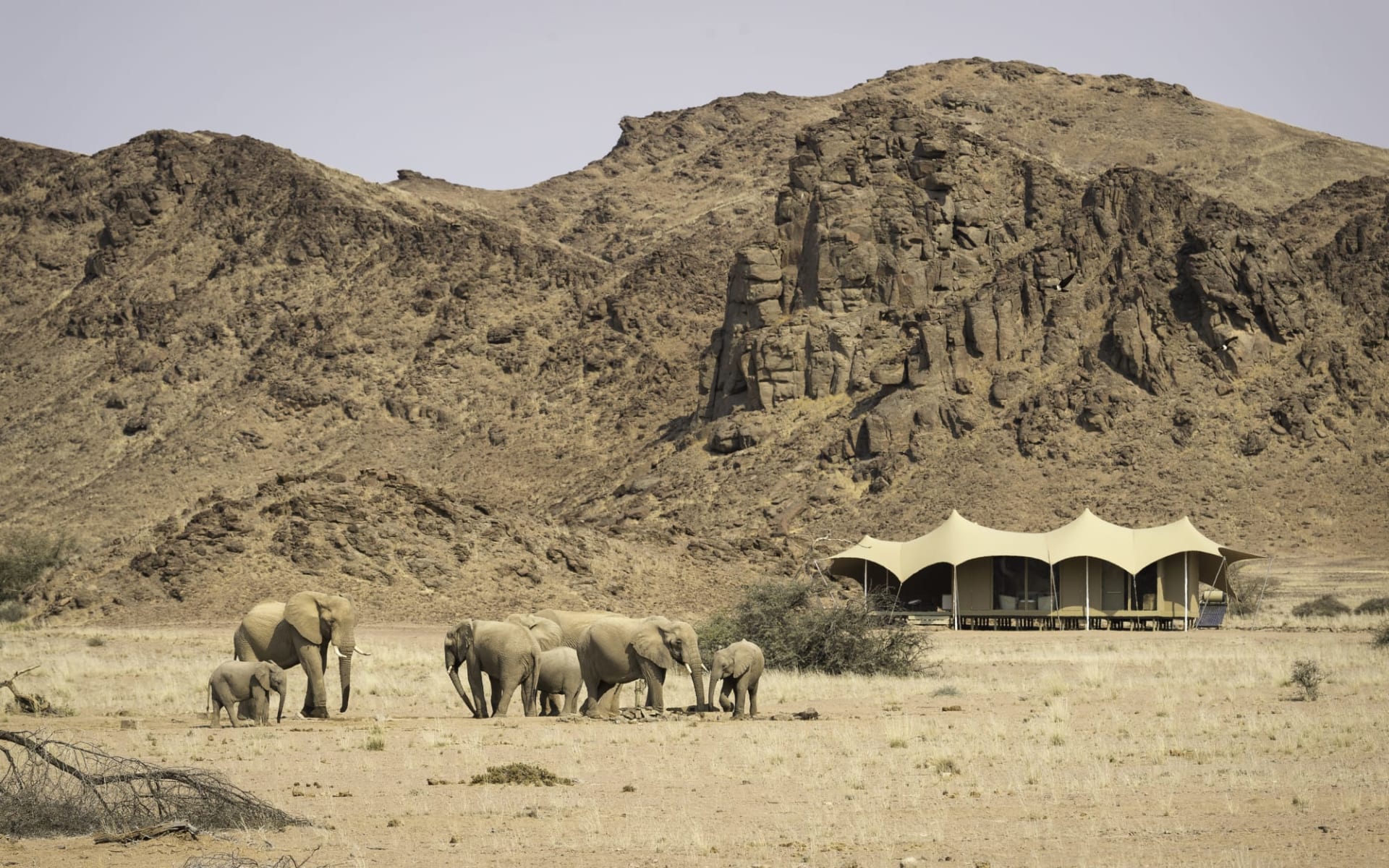 Hoanib Skeleton Coast Camp in Skeleton Küsten Region: Hoanib Skeleton Coast