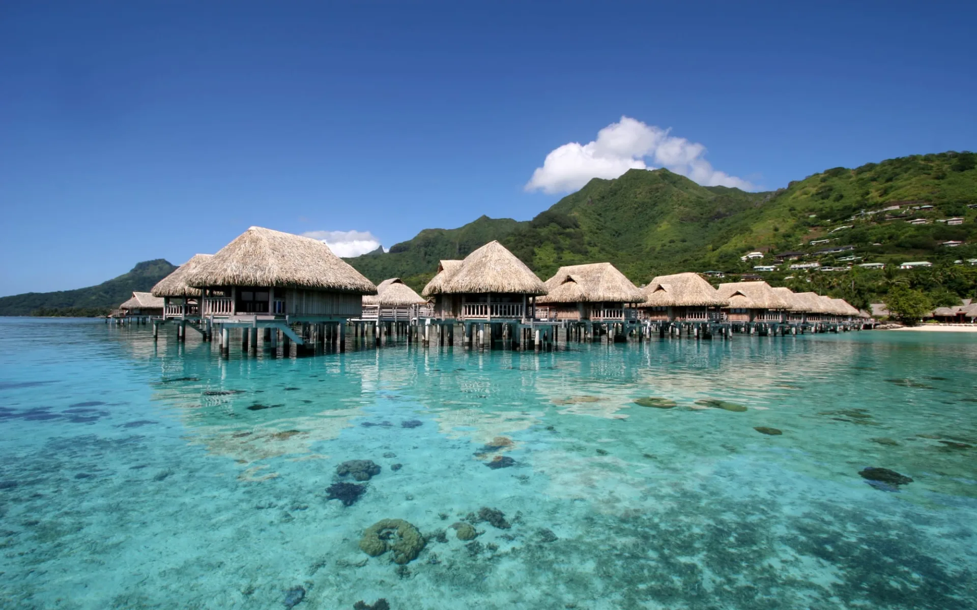 Sofitel Kia Ora Moorea Beach Resort:  MOZ Sofitel Moorea SUP OW Bungalow1