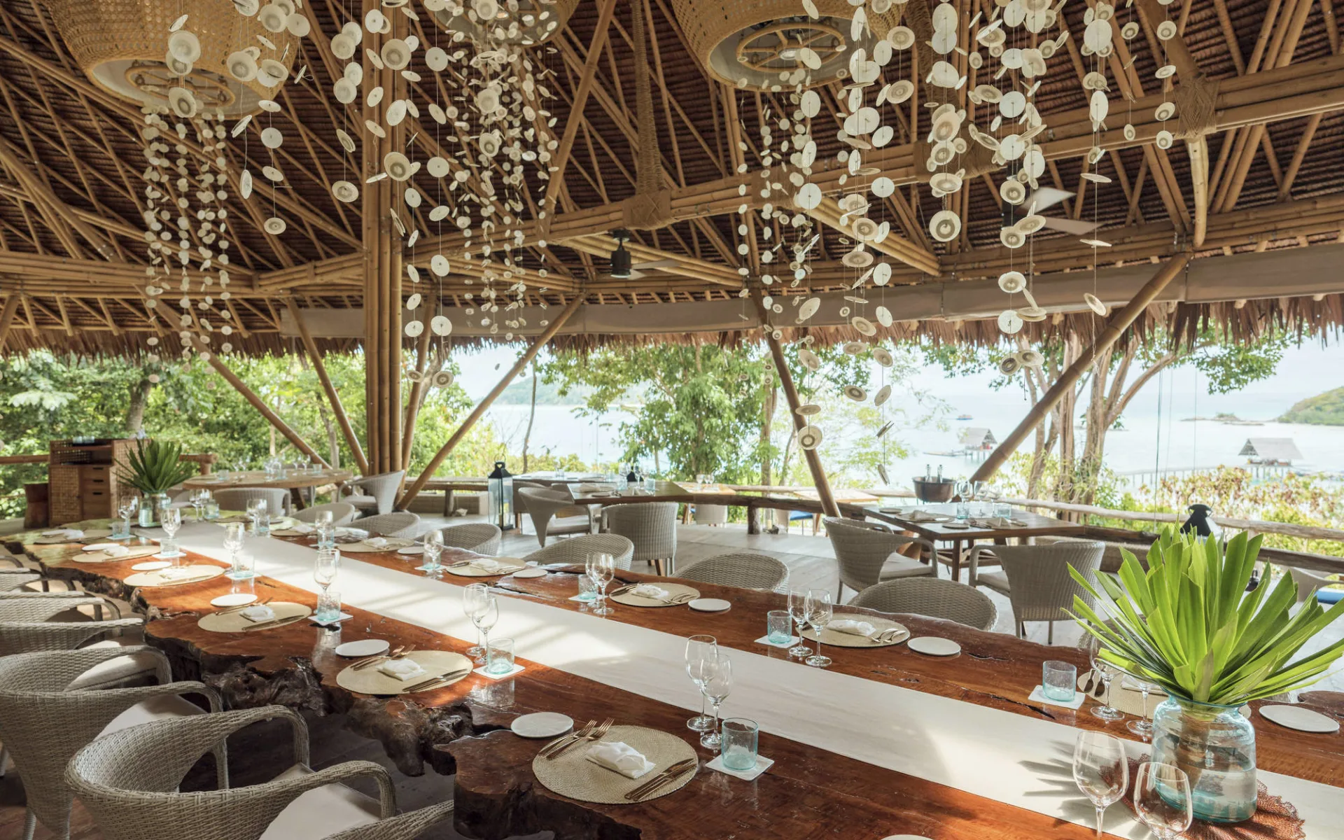 Bawah Reserve:  Treetop