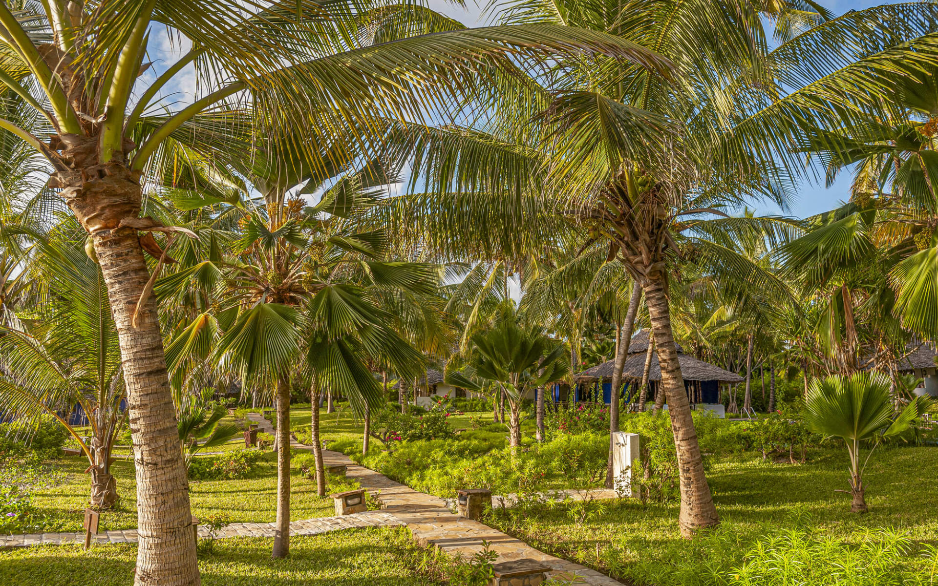 The Palms in Zanzibar Südostküste:  Gardens