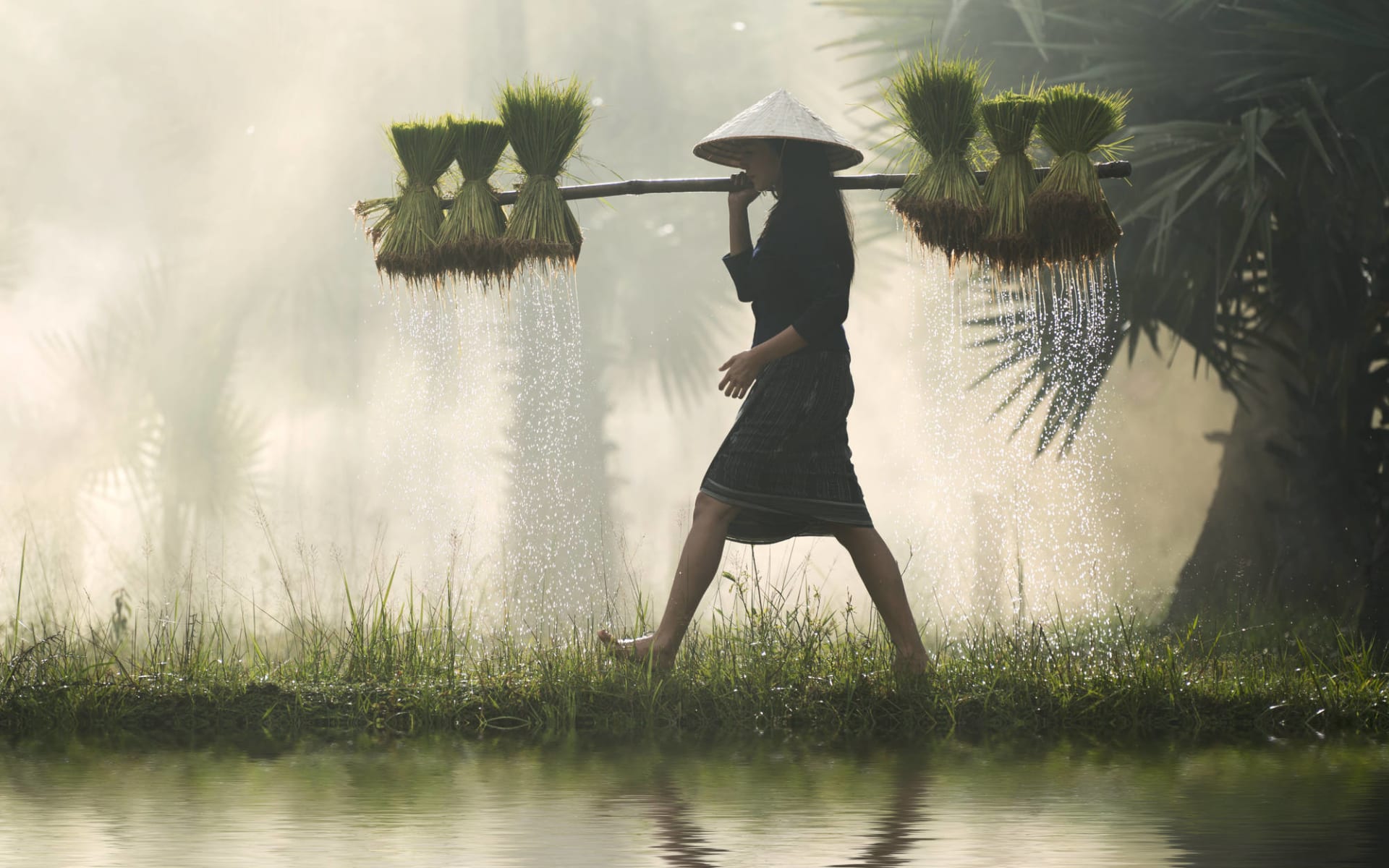 Das Mekong Delta aktiv erleben ab Saigon: Female Farmer with rice seedlings