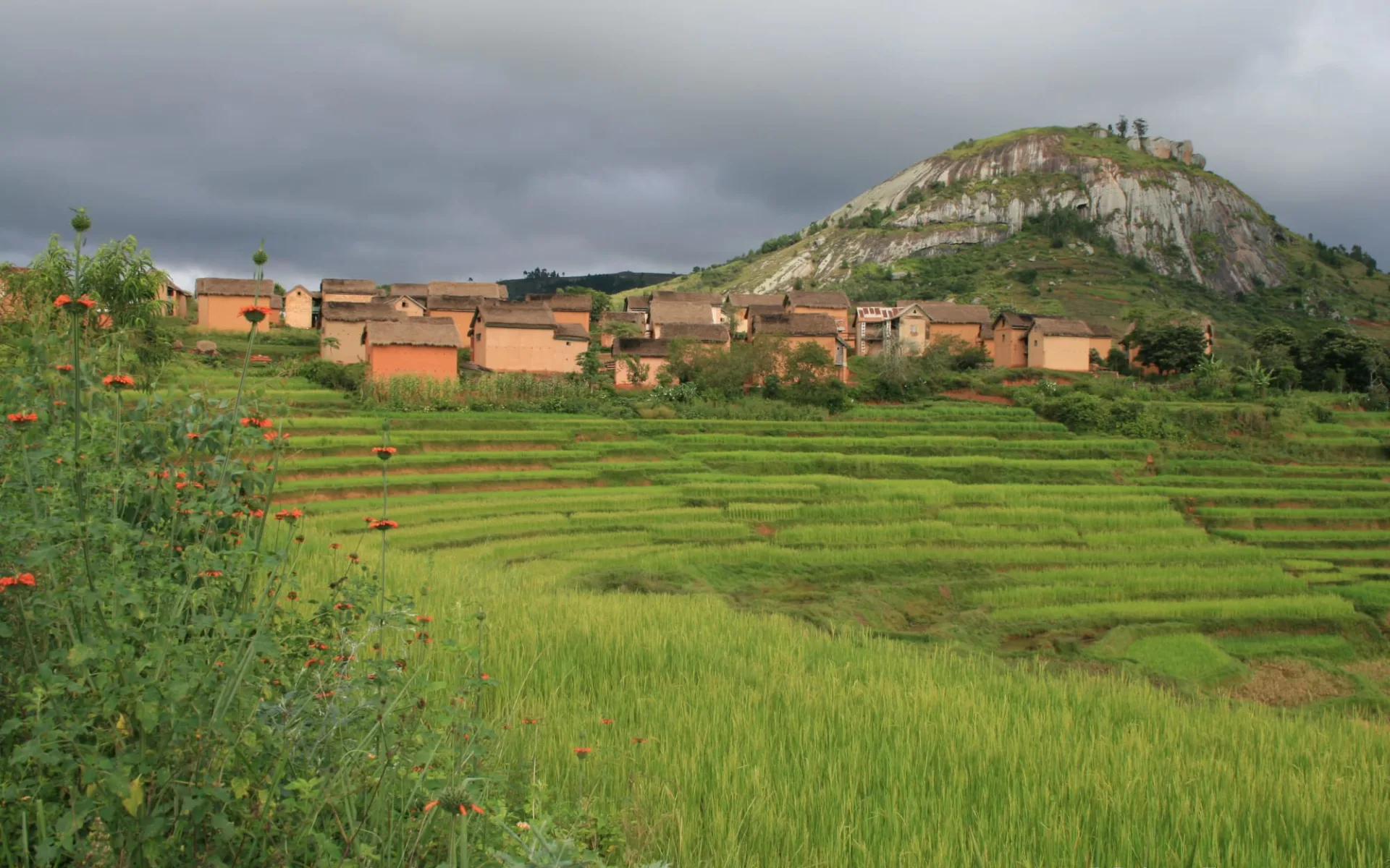 Den Süden entdecken ab Antananarivo: Fianarantsoa