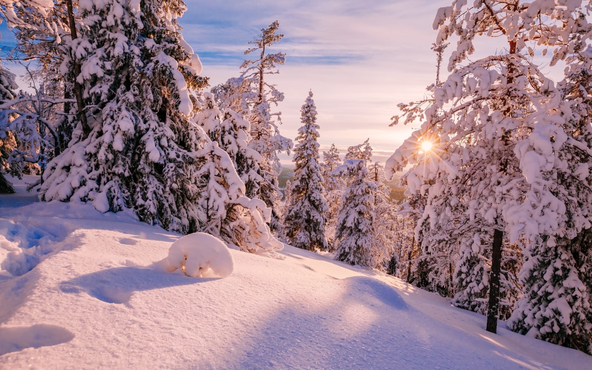 Gasthaus Papin Talo in Ruka: Finnland Lappland Winter Landschaft