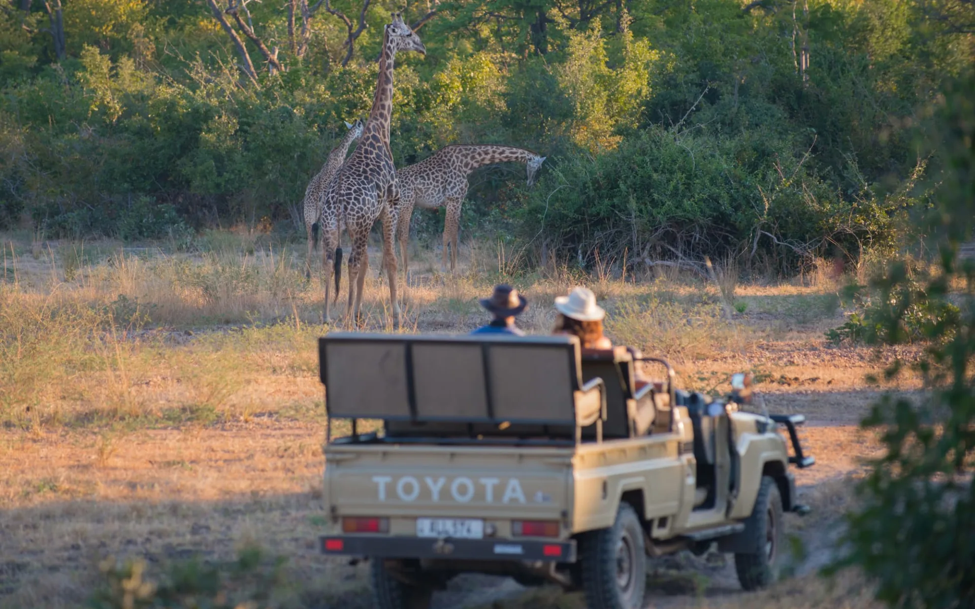 Nkwali Camp in South Luangwa: GBP-RPS-Luangwa-2017-1276