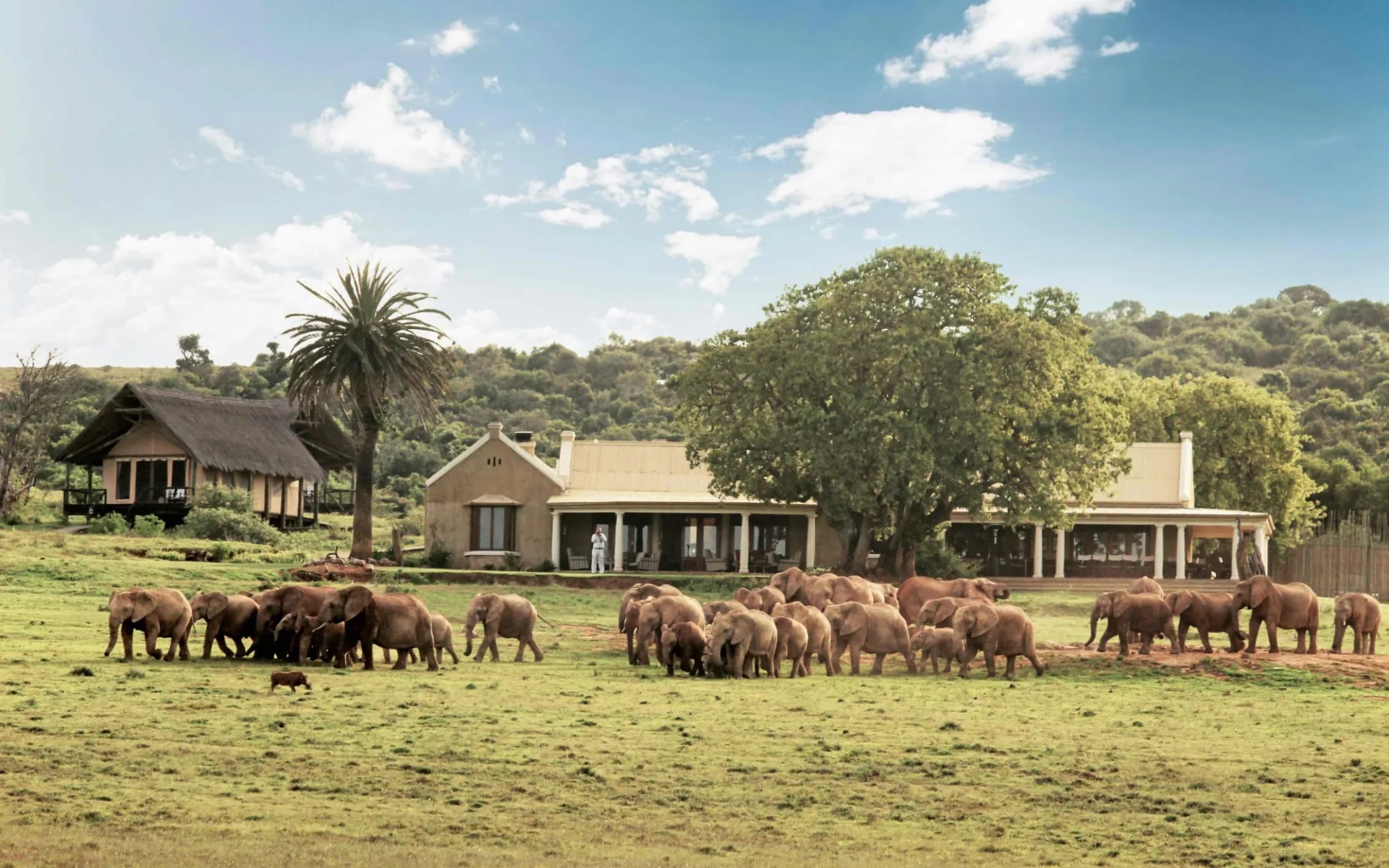 Gorah Elephant Camp in Addo Elephant National Park: Gorah - Elephants