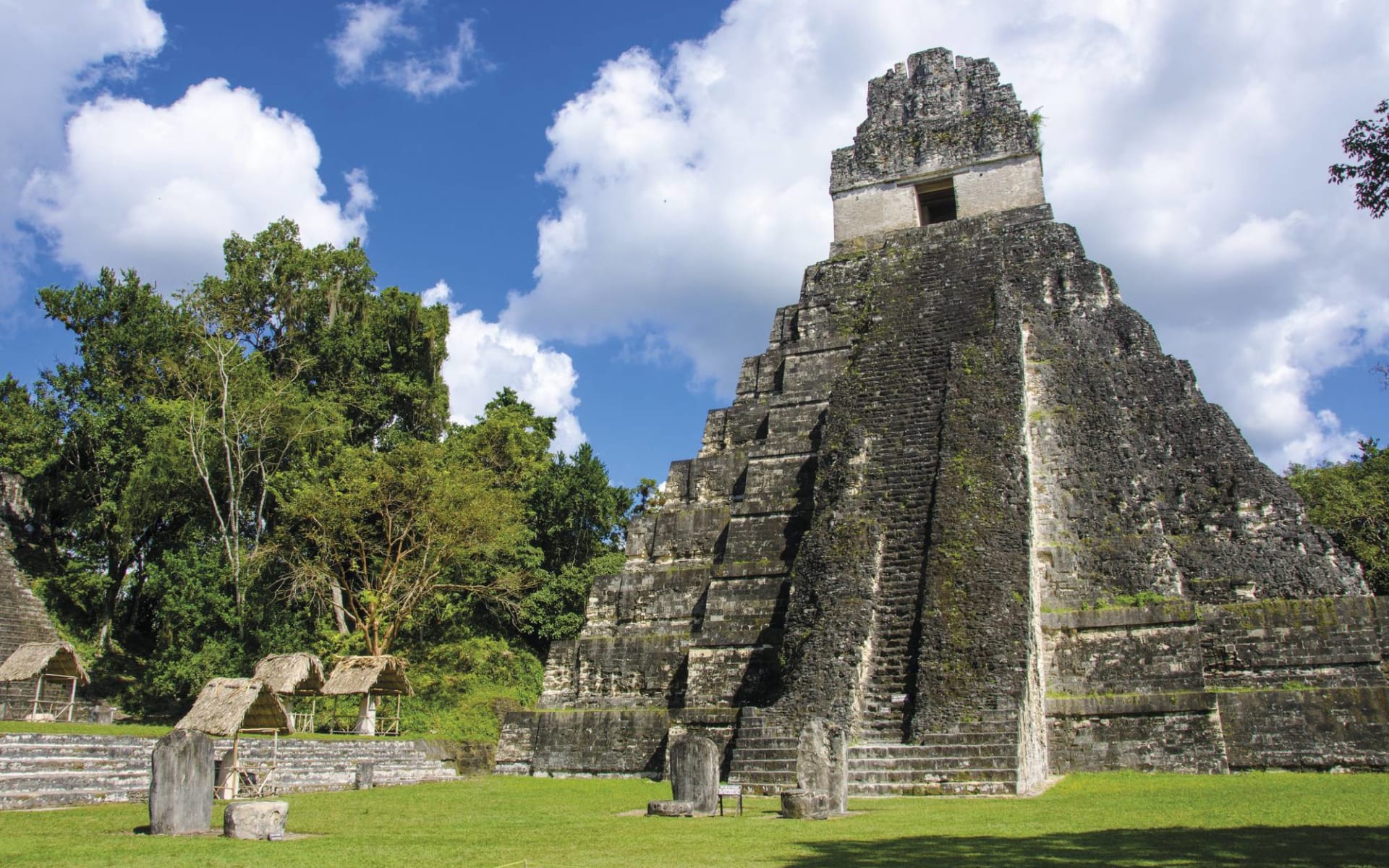 Privatreise Guatemala und Copán ab Guatemala City: Guatemala - Ruinen von Tikal - Maya Ruinen