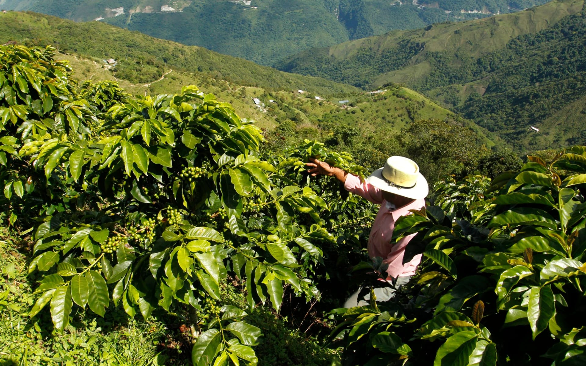 El Café de Colombia ab Pereira: Kaffeefarmer_Kolumbien