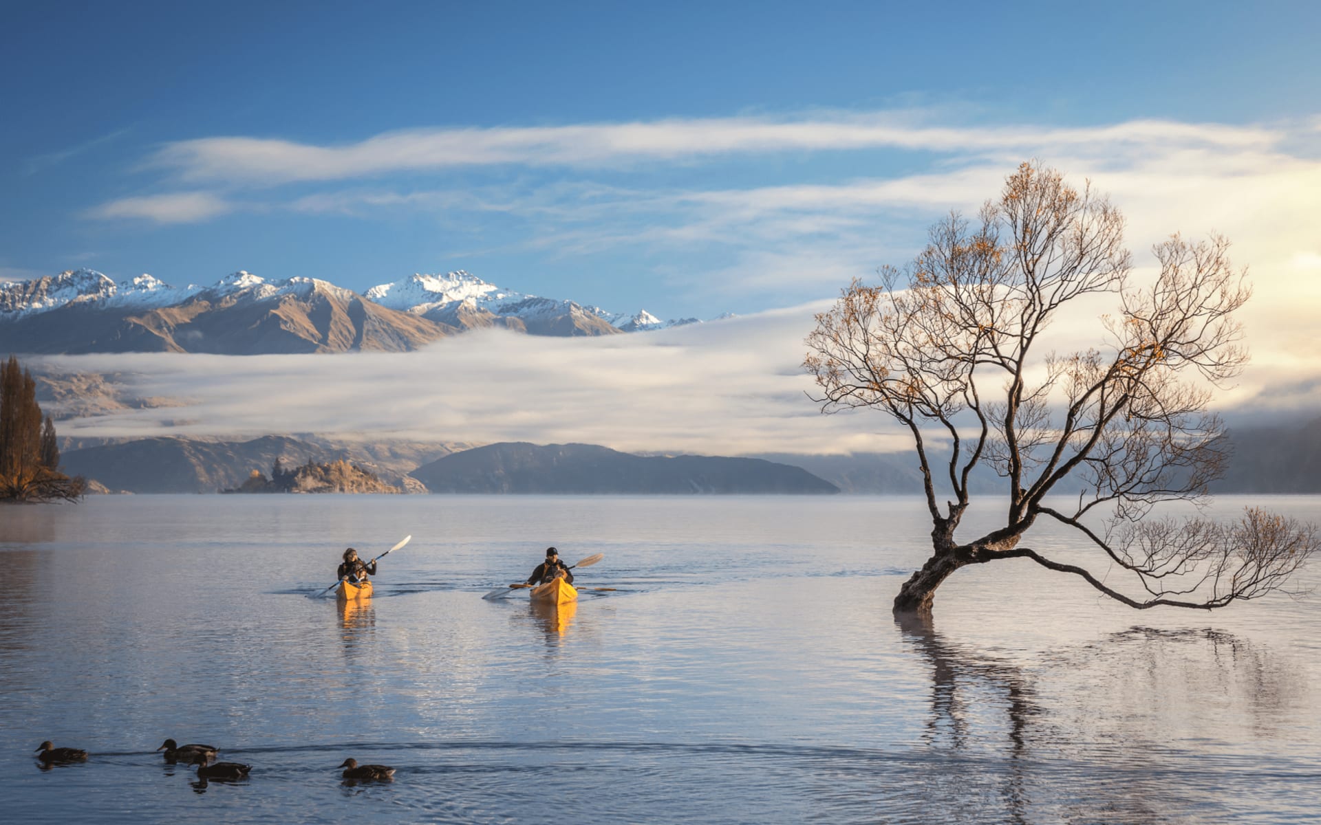 Neuseeland Aktiv Entdecken ab Queenstown: Kajak_Lake_Wanaka_Südinsel_Neuseeland