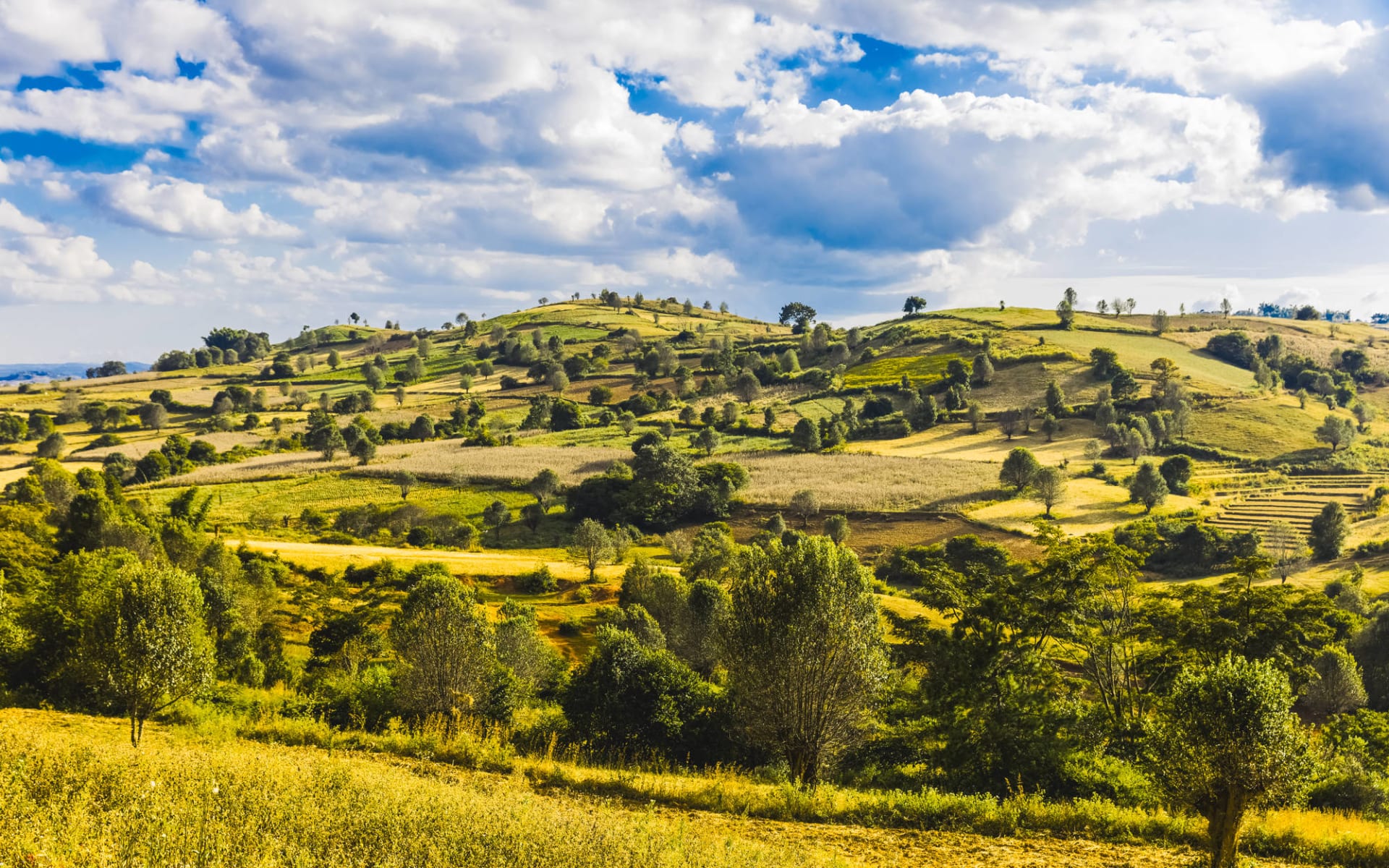 Wandern im malerischen Shan Staat (4 Tage) ab Inle Lake: Kalaw countryside