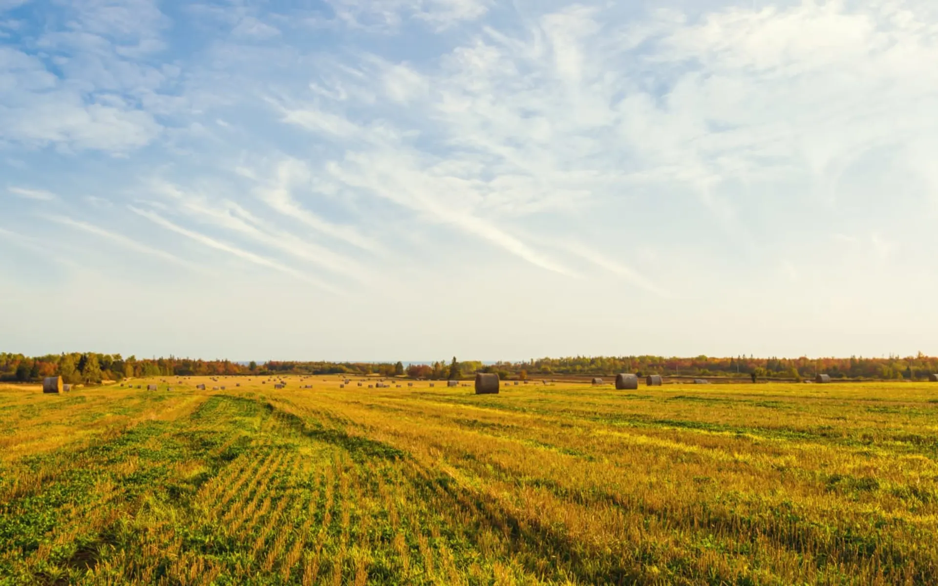 Landwirtschaftliche Leserreise der BauernZeitung Westkanada ab Calgary: Kanada - Landwirtschaft