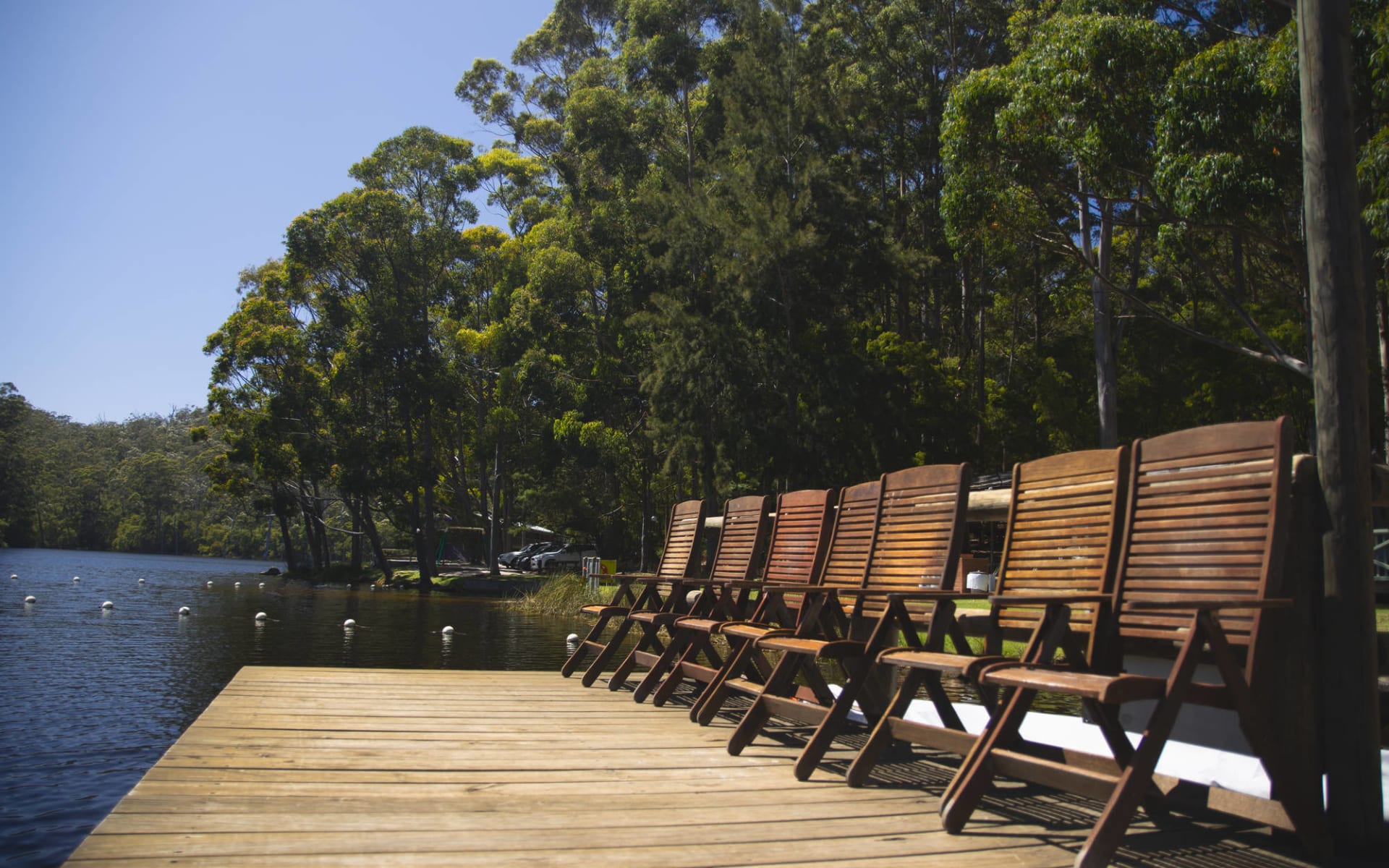 RAC Karri Valley Resort in Pemberton: Karri Valley Resert 1264824643