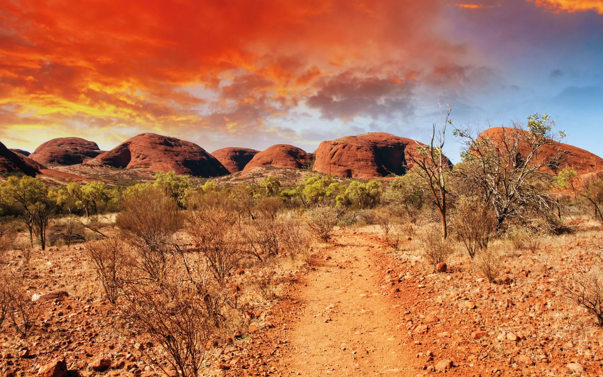 Uluru & Kata Tjuta Experience (AAT Kings) ab Red Centre: Kata Tjuta - Rote Wolken