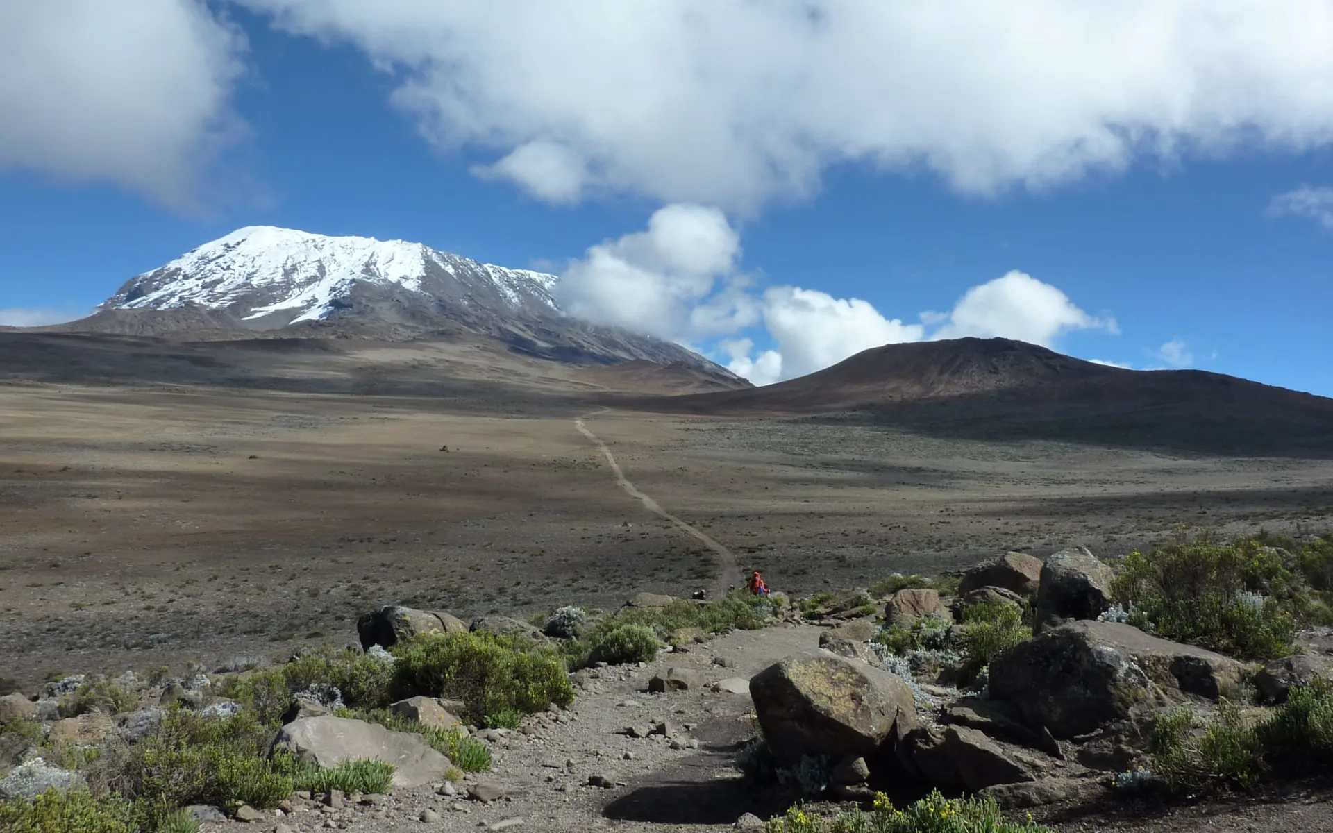 Kilimanjaro Marangu Route ab Arusha: Kili Marangu