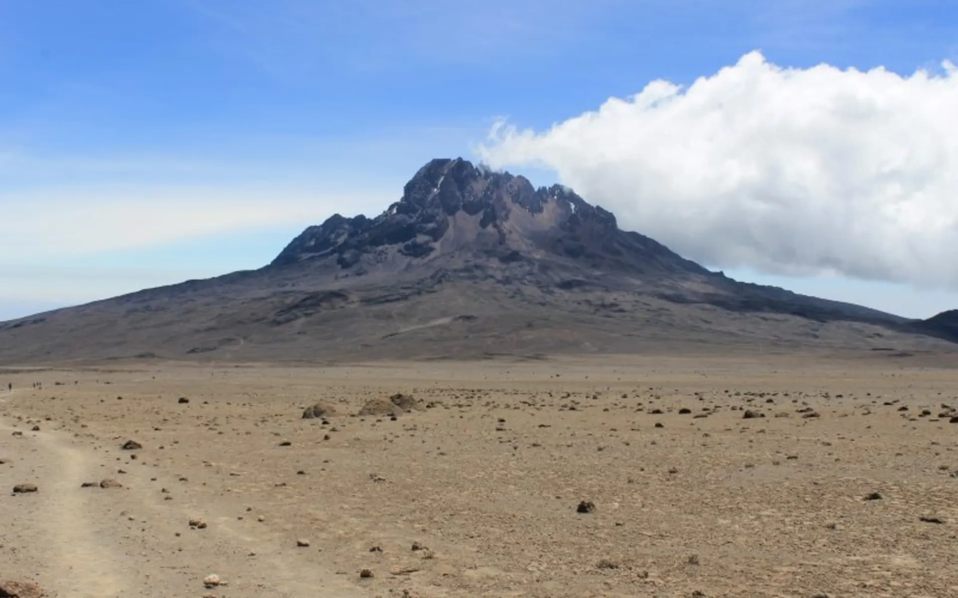 Kilimanjaro Rongai Route ab Arusha: Kili Rongai