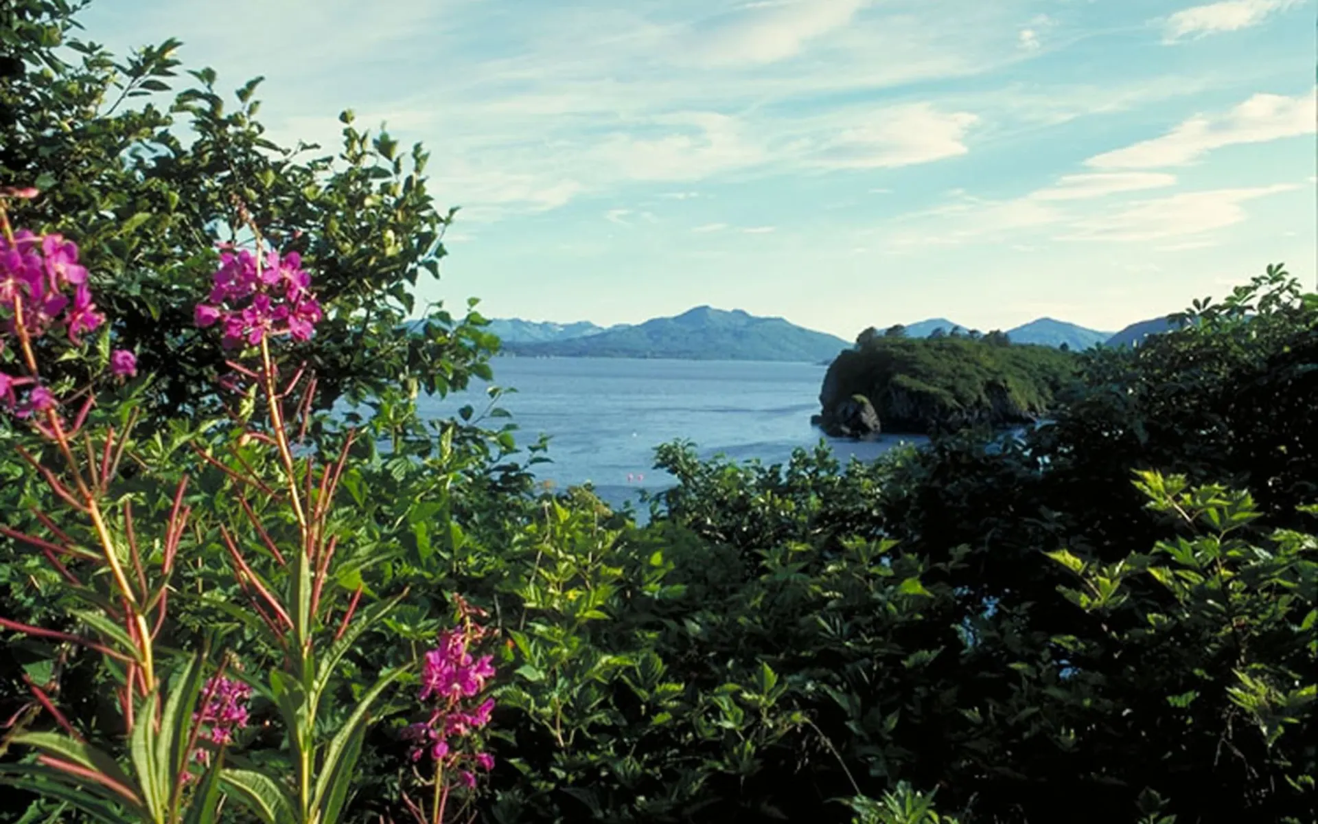 Bärenbeobachtung in der Katmai Wilderness Lodge ab Kodiak: Kodiak2