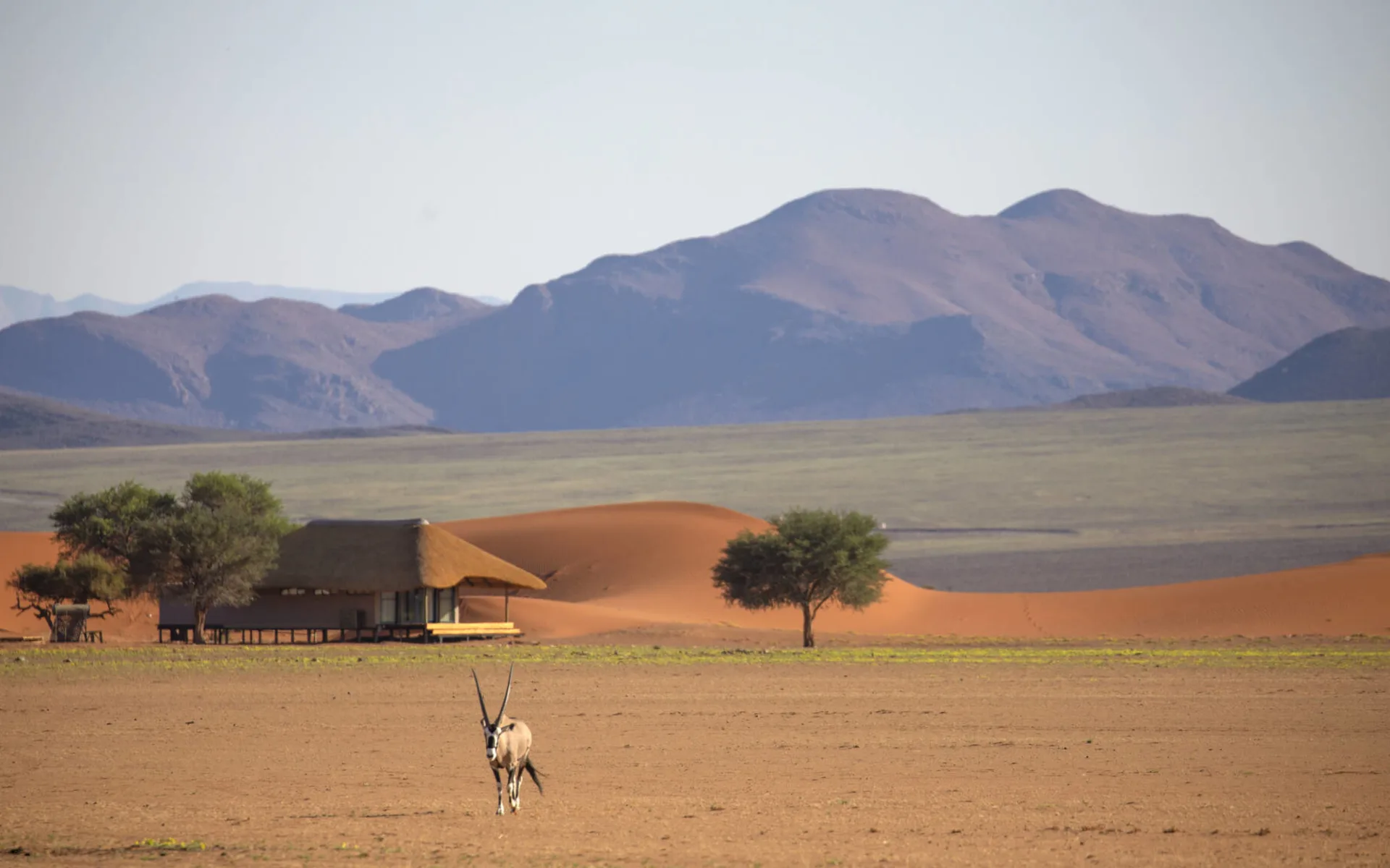 Kwessi Dunes in Sossusvlei: Kwessi Dunes Bild 1