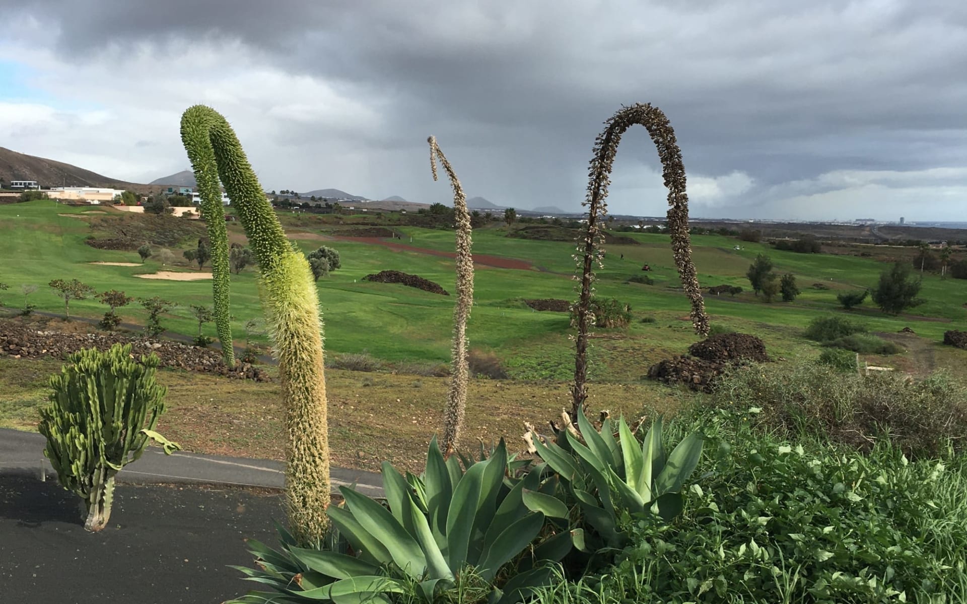 29.12.24 - 05.01.25 Silvester Golfreise Lanzarote: Lanzarote Golf_MN_2