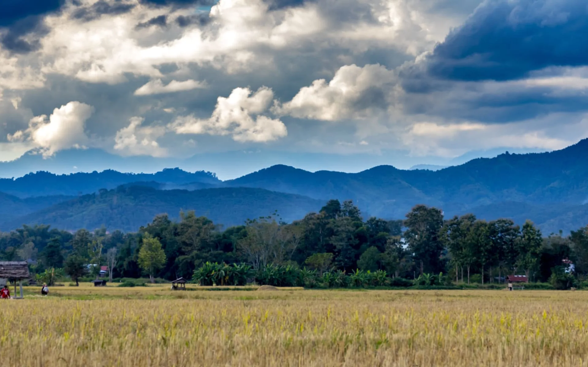 Bergstämme und Natur in Nord-Laos inkl. Trekking ab Luang Prabang: Laos Luang Namtha