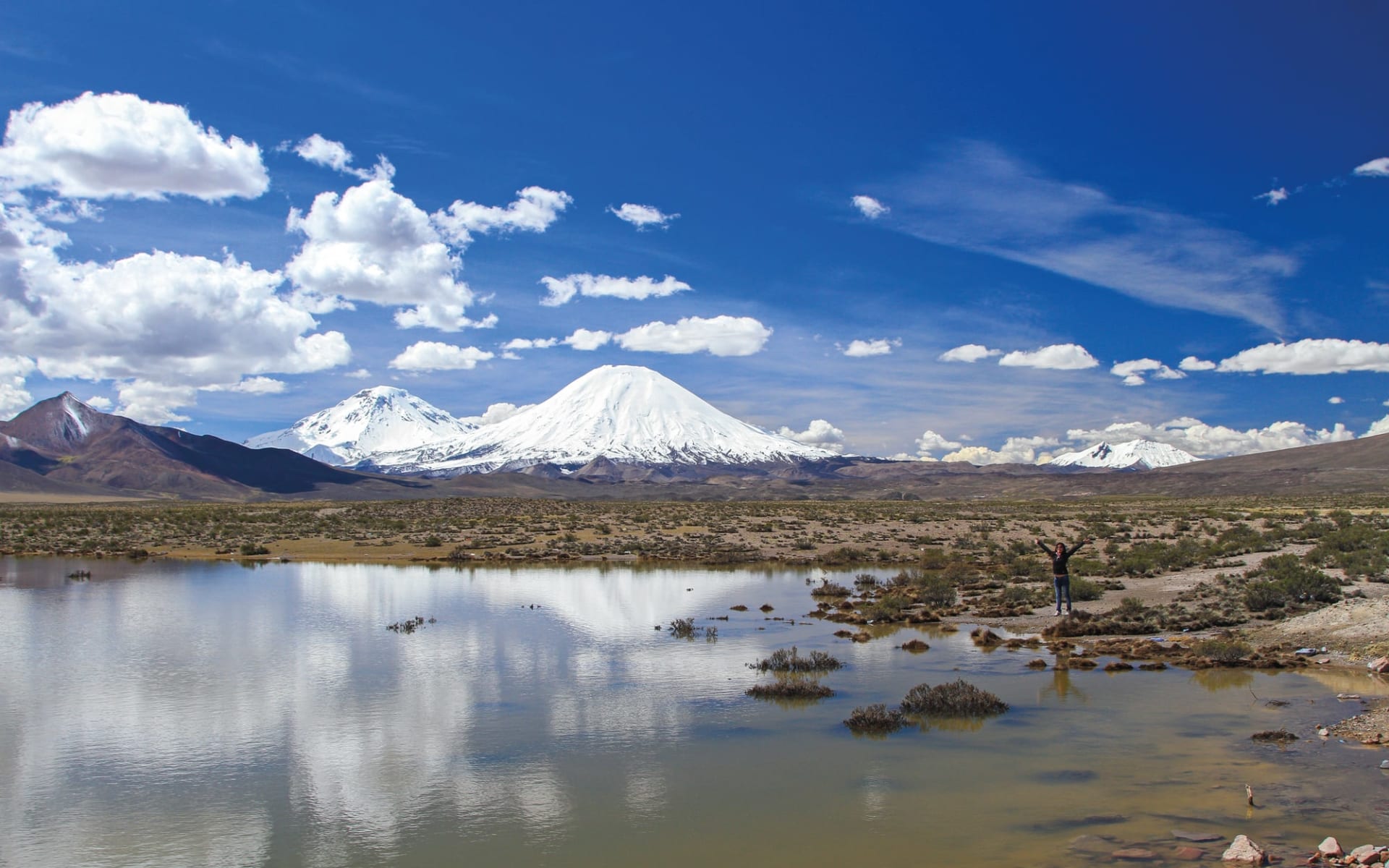 Privatreise Arica - Iquique, der hohe Norden: Lauca Nationalpark