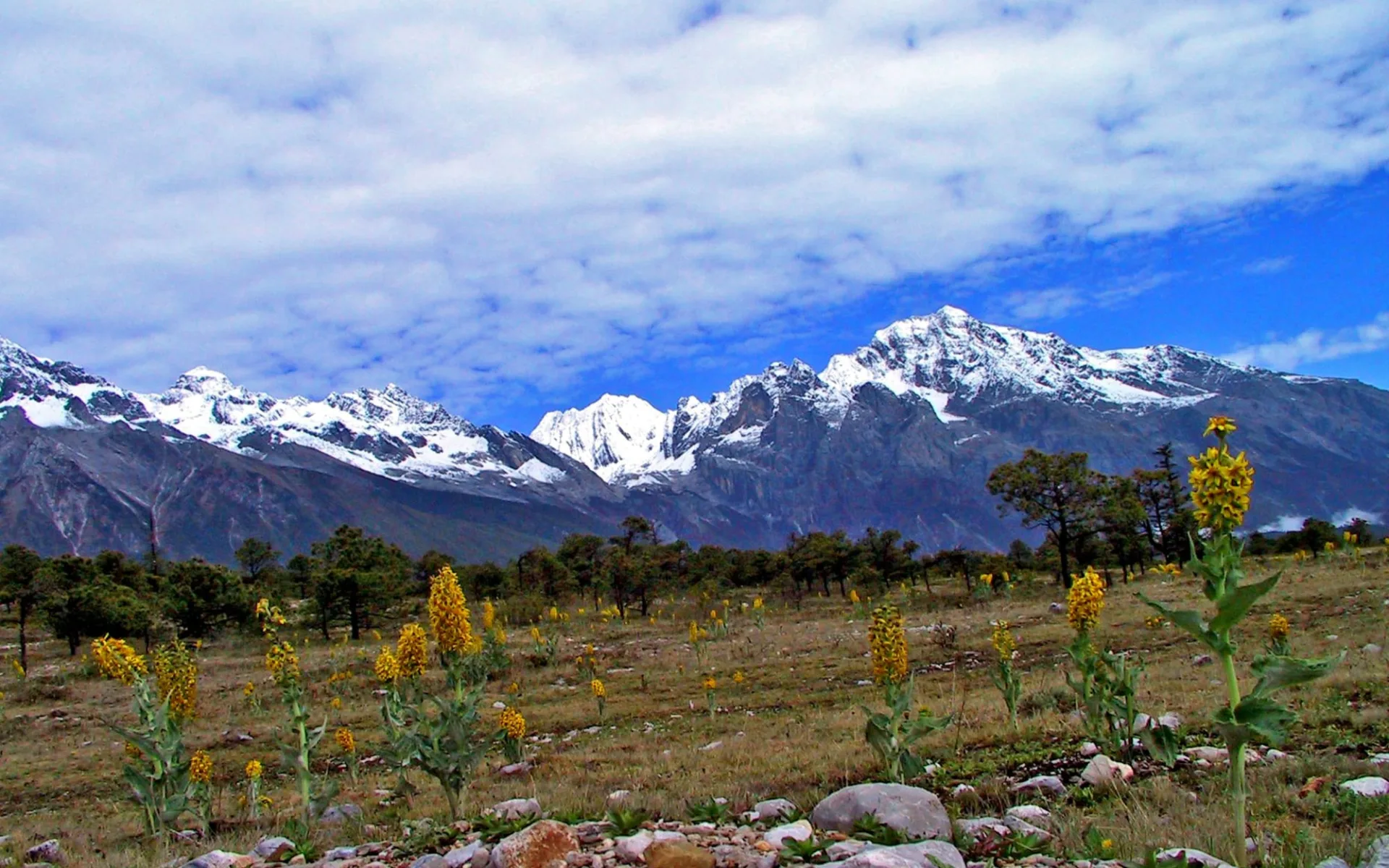 Höhepunkte Yunnans ab Kunming: Lijiang: Snow Mountain