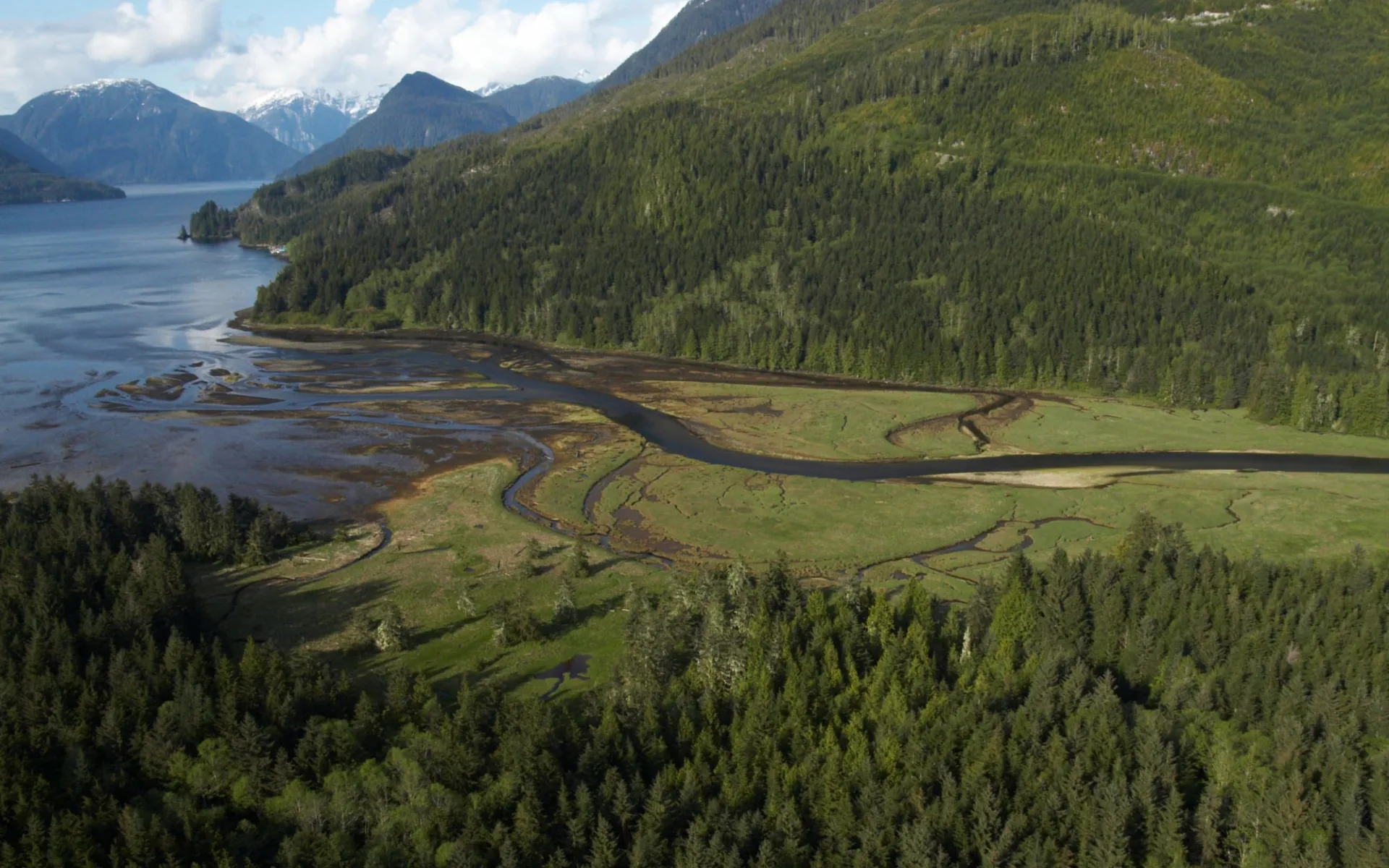 Bärenbeobachtung Knight Inlet Lodge 3 Tage ab Campbell River: location: Knight Inlet Lodge - Landschaft