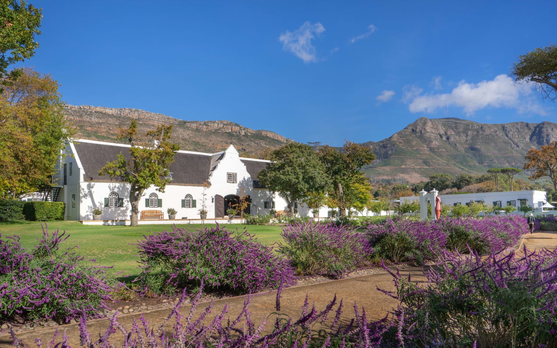 Steenberg Hotel & Spa in Constantia: Reception Building & Grounds - HERO IMAGE (1) HR