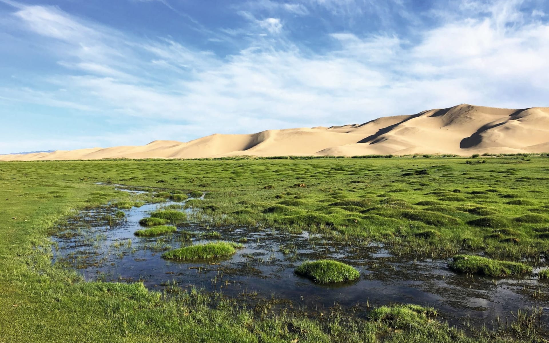 Grasland, Steppenwind und Wüstensand ab Ulaanbaatar: Mongolei_Seruun Bulag1_Sonja