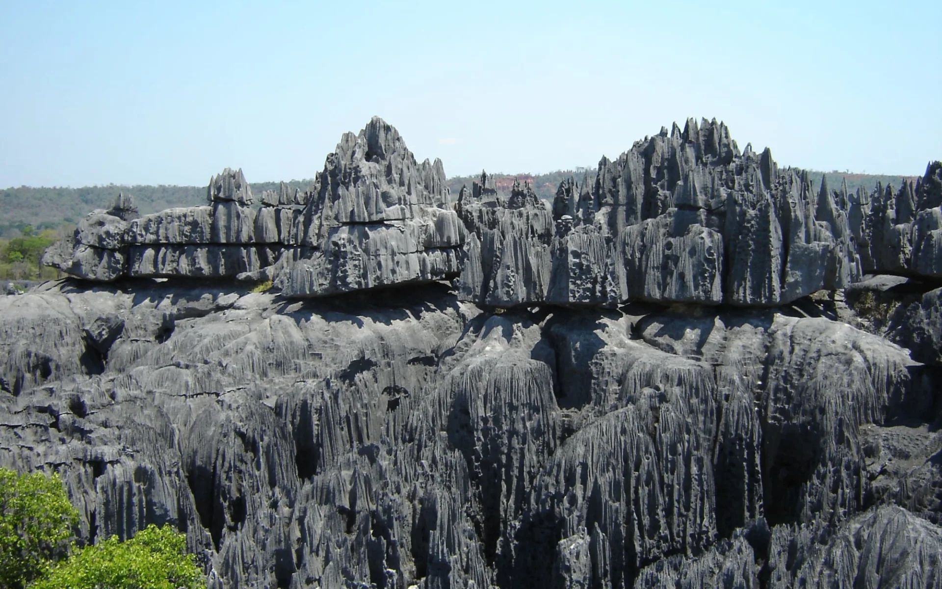 Morondava – Kleine und grosse Tsingys ab Antananarivo: Nationalpark Tsingy de Bemaraha