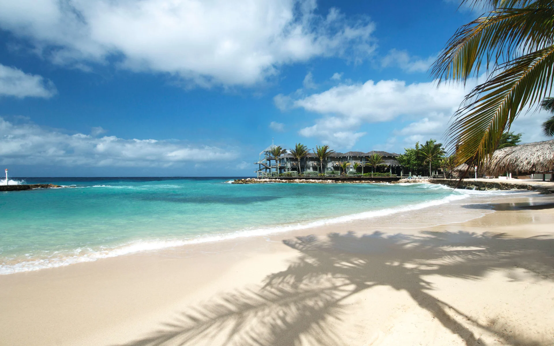 Avila Beach Hotel in Curaçao: natur avila hotel strand meer palme