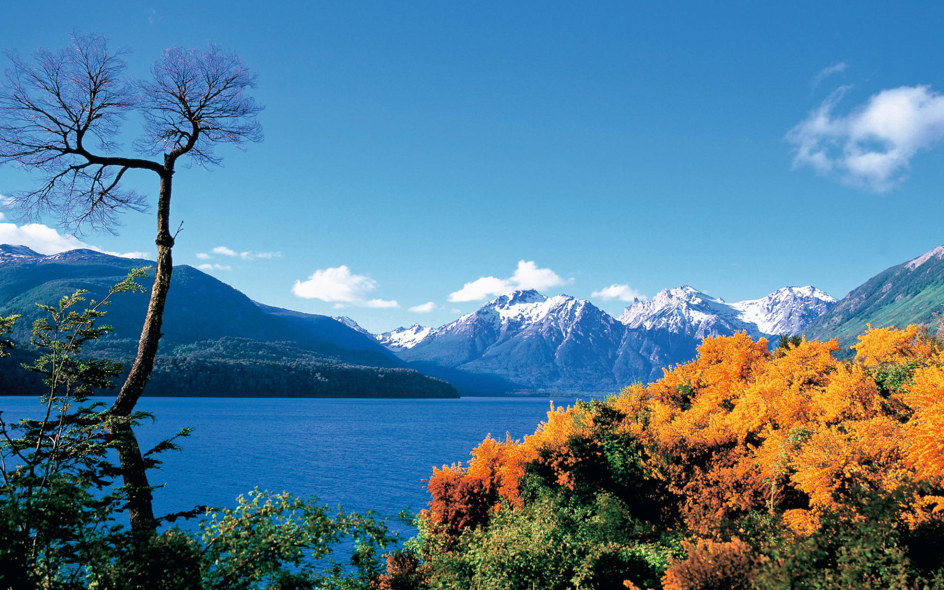 Kurztour Bariloche: Natur Bariloche - Argentinien mit See und Pampa C