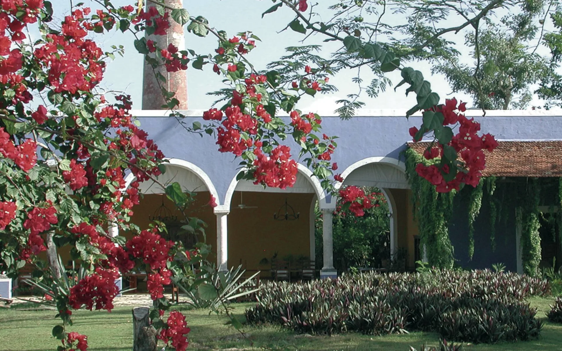 Hacienda San José in Tixkobob: natur hacienda san josé garten