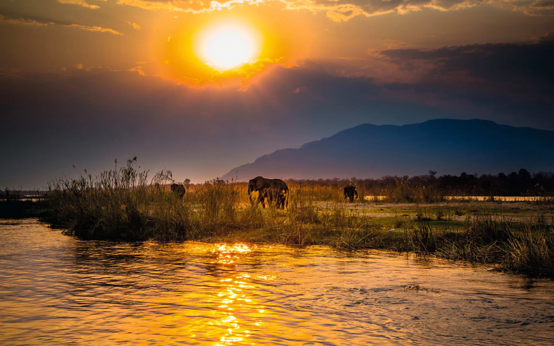 Best of Zambia ab Lusaka: natur Lower Zambezi - Elefanten c