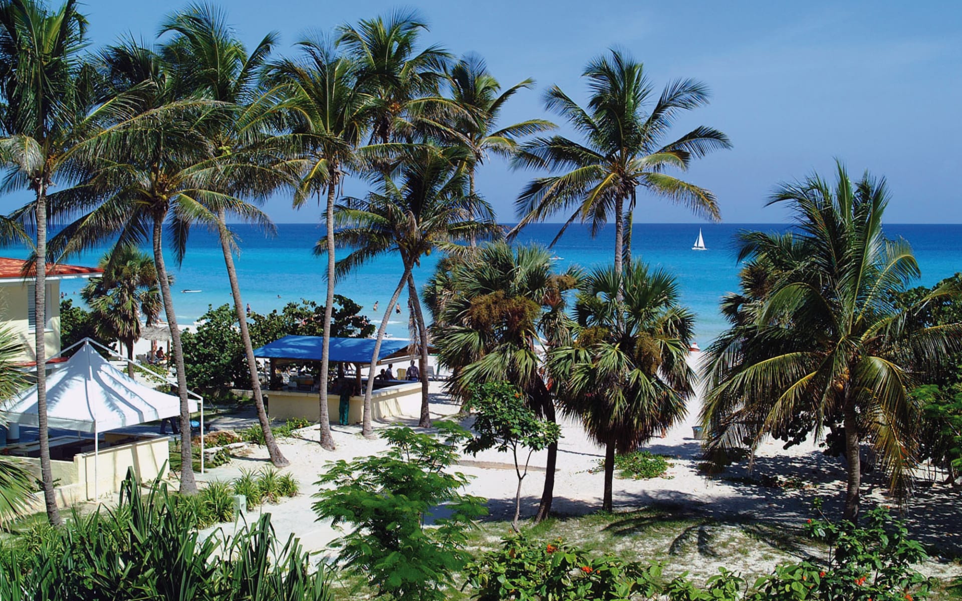 Sol Varadero Beach: natur sol sirenas coral strand palmen