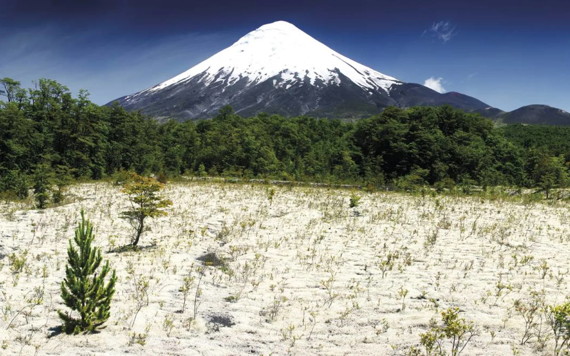 Zubucherreise Seengebiet ab Puerto Montt: Osorno Vulkan