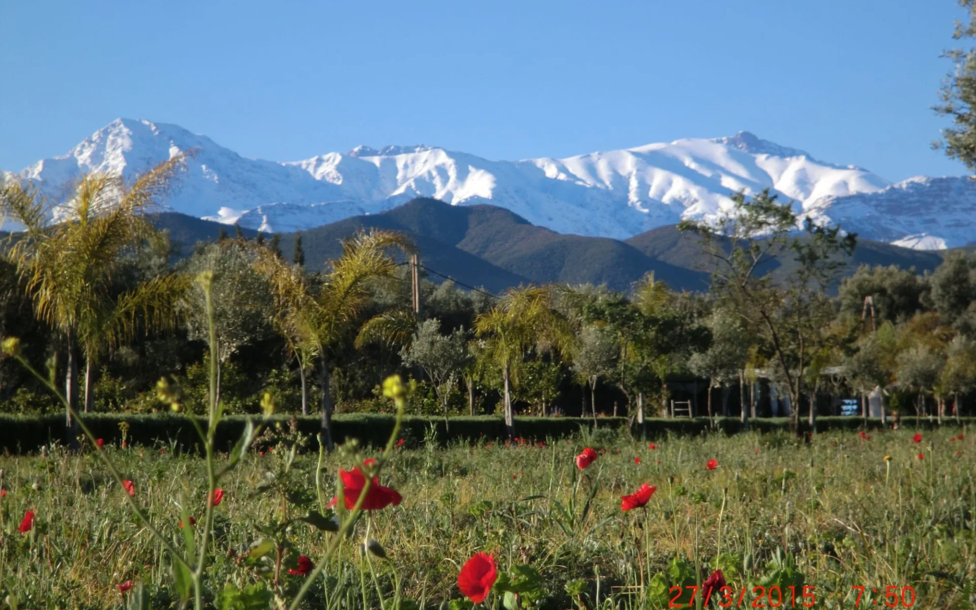 Atlas Experience ab Marrakesch: Paradis du Safran - Christine Ferrari