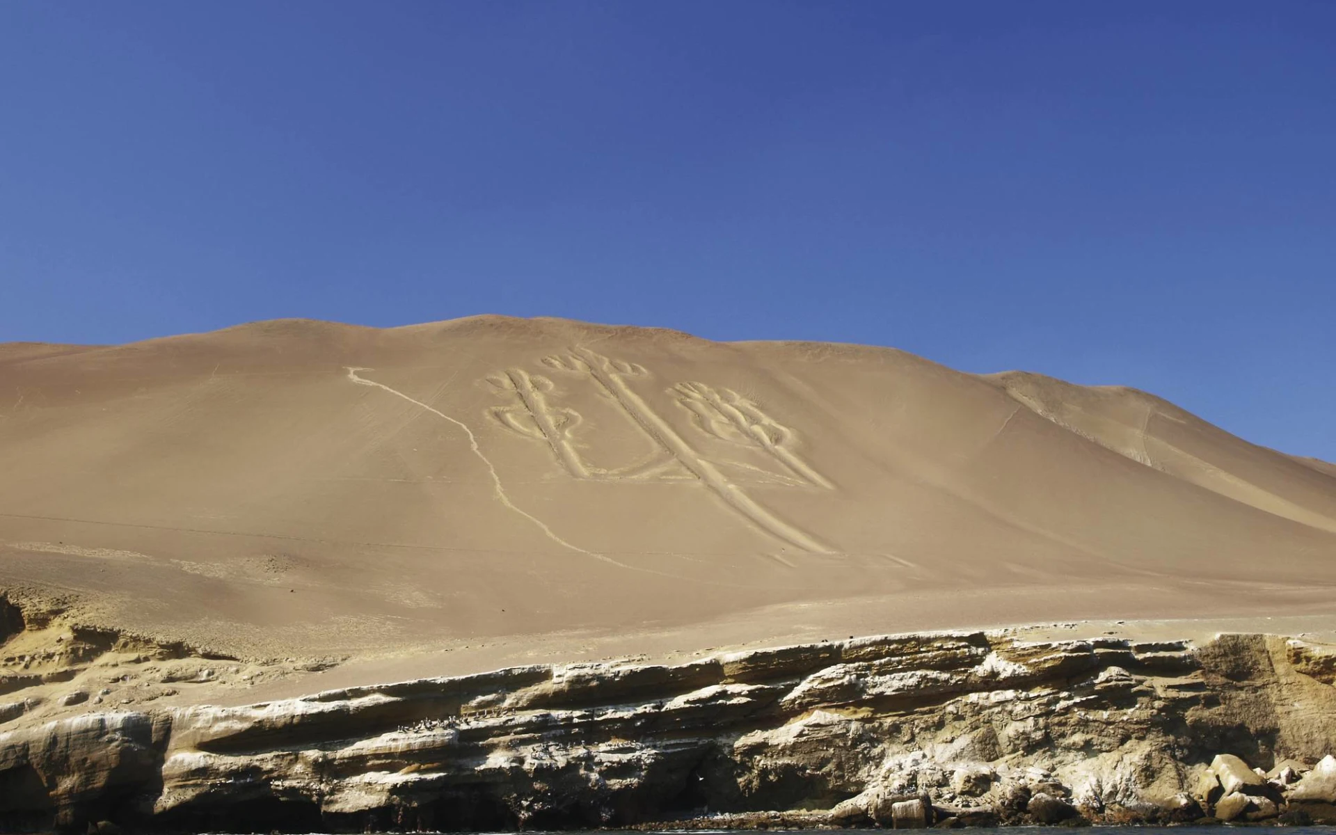 Geheimnisvoller Süden ab Lima: Peru - Paracas Nationalpark - Kakteen im Sand