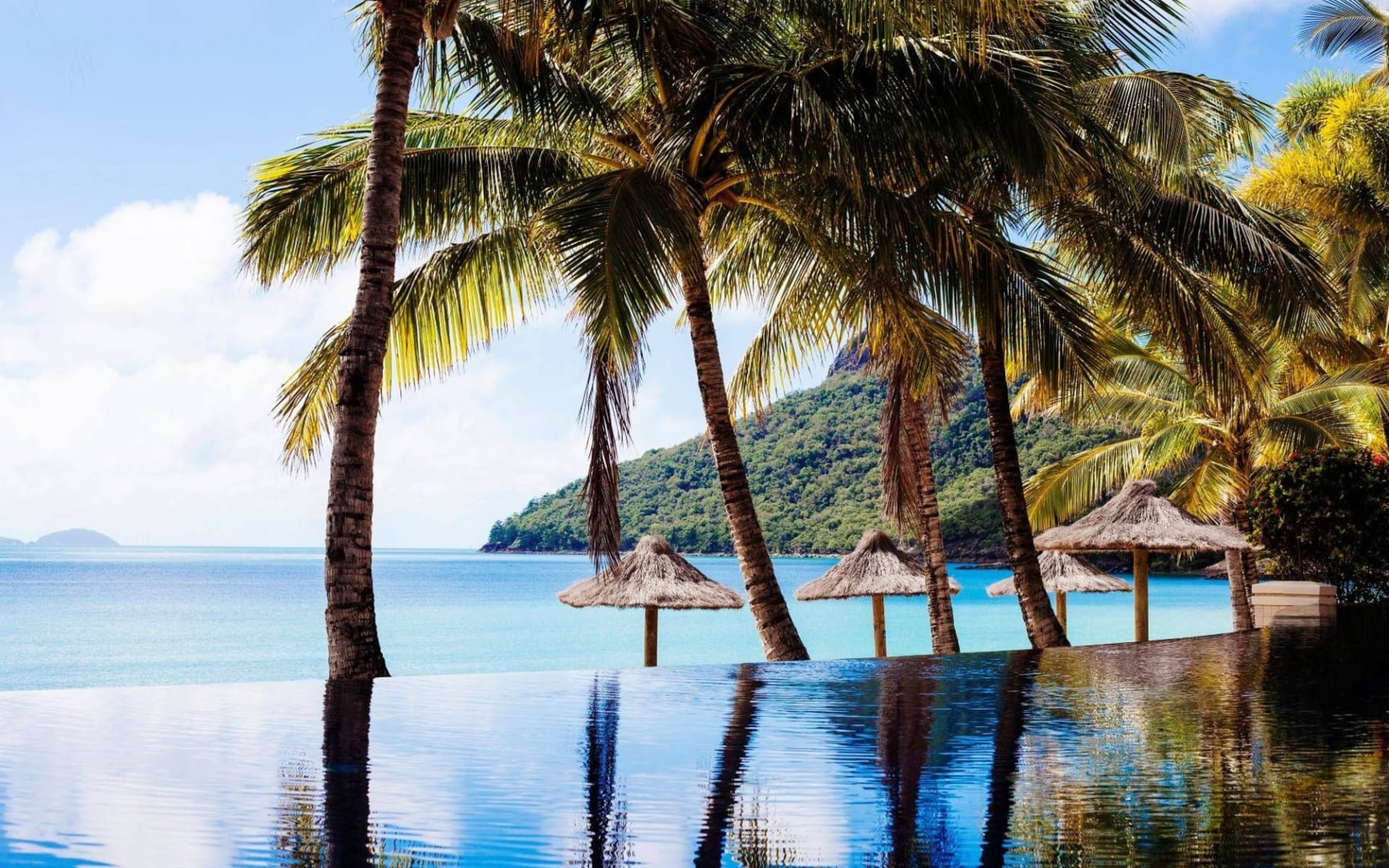 Beach Club in Hamilton Island: Beach-Club-K-Rosenlund-Beach-Club-pool-landscape-HR-retouch,huge.1546817836