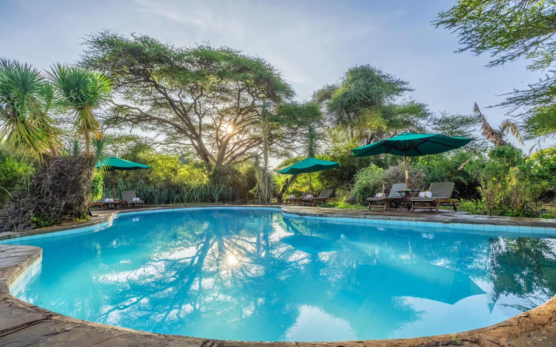 Tortilis Camp in Amboseli:  MainPoolArea