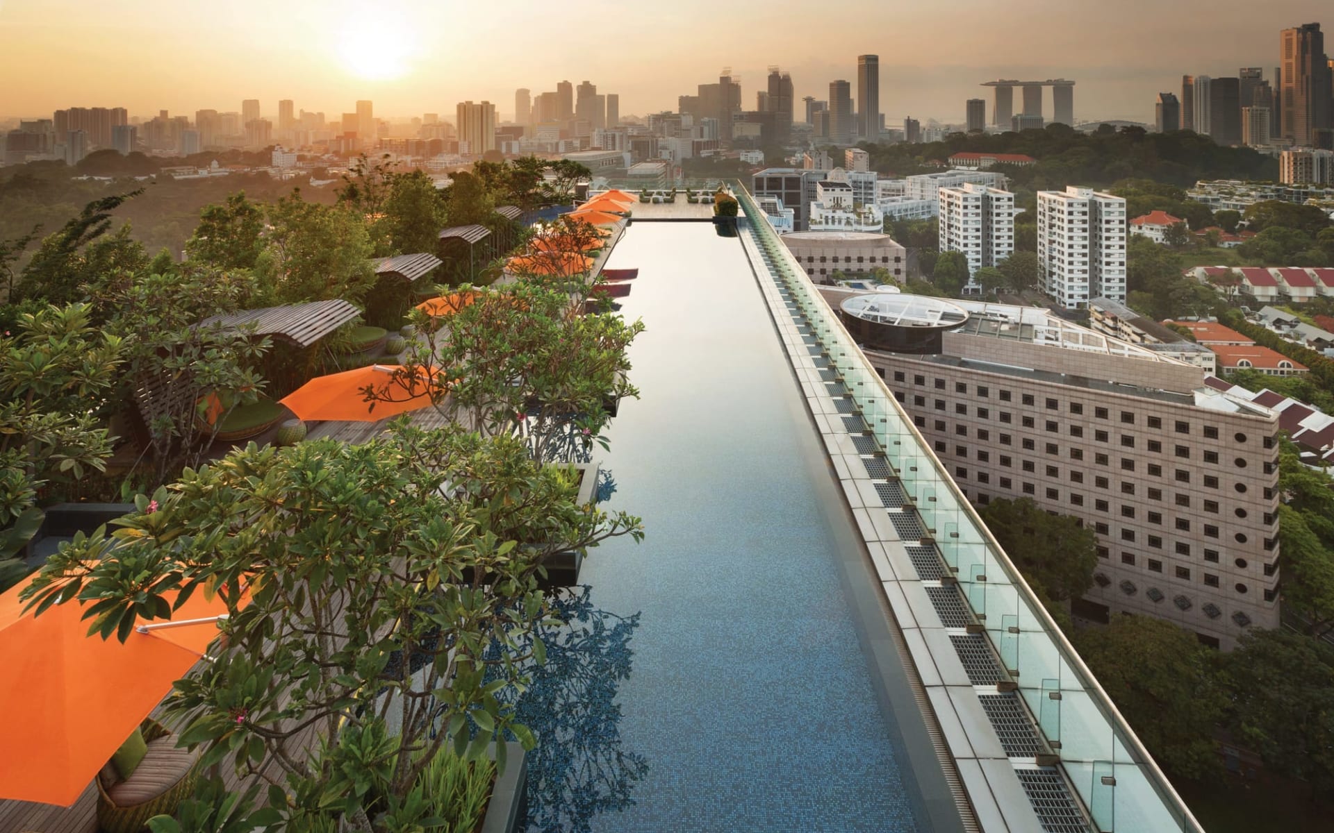 Jen Orchardgateway in Singapur: Rooftop Infinity Pool