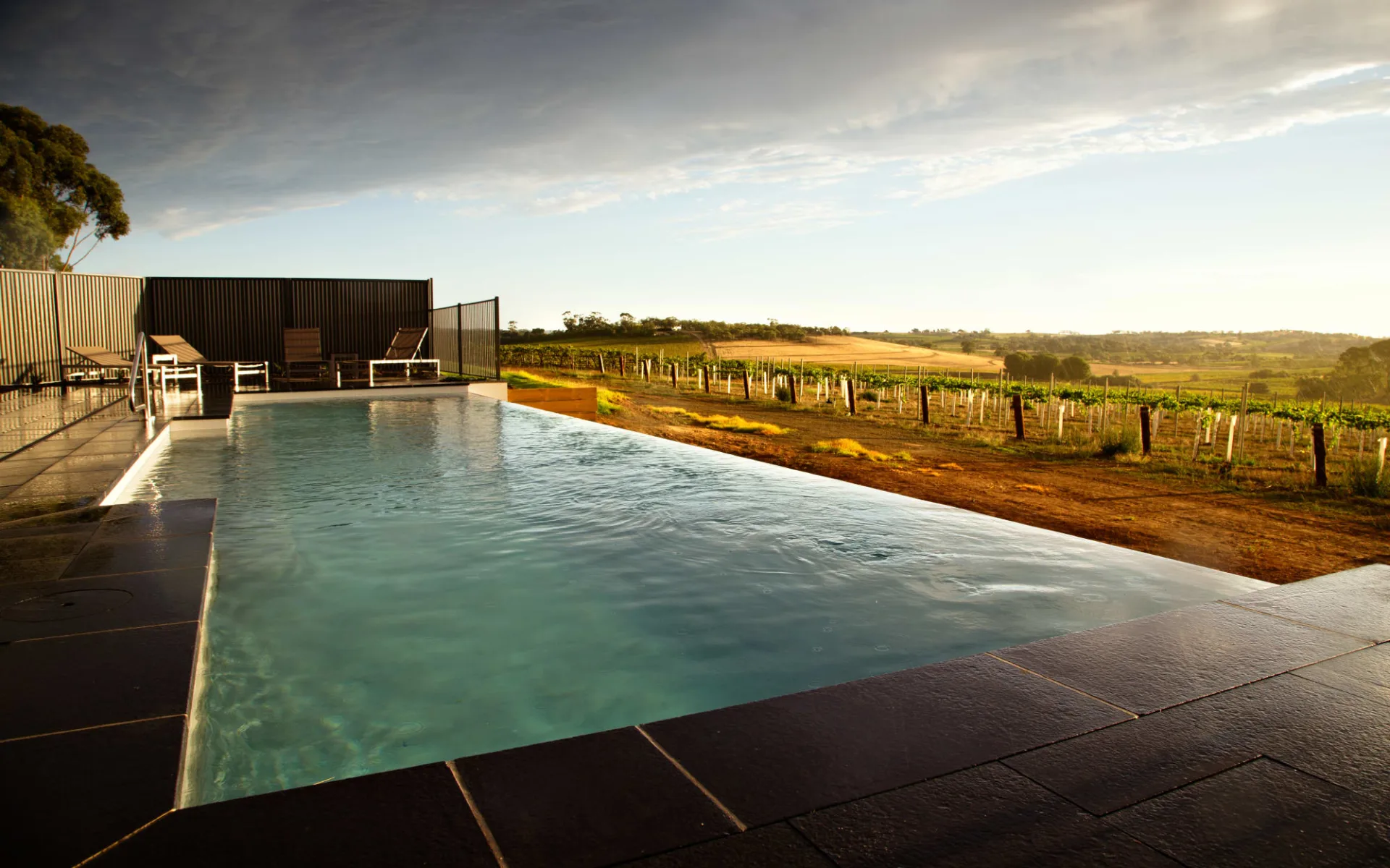 The Louise in Tanunda: The Louise - Pool 2