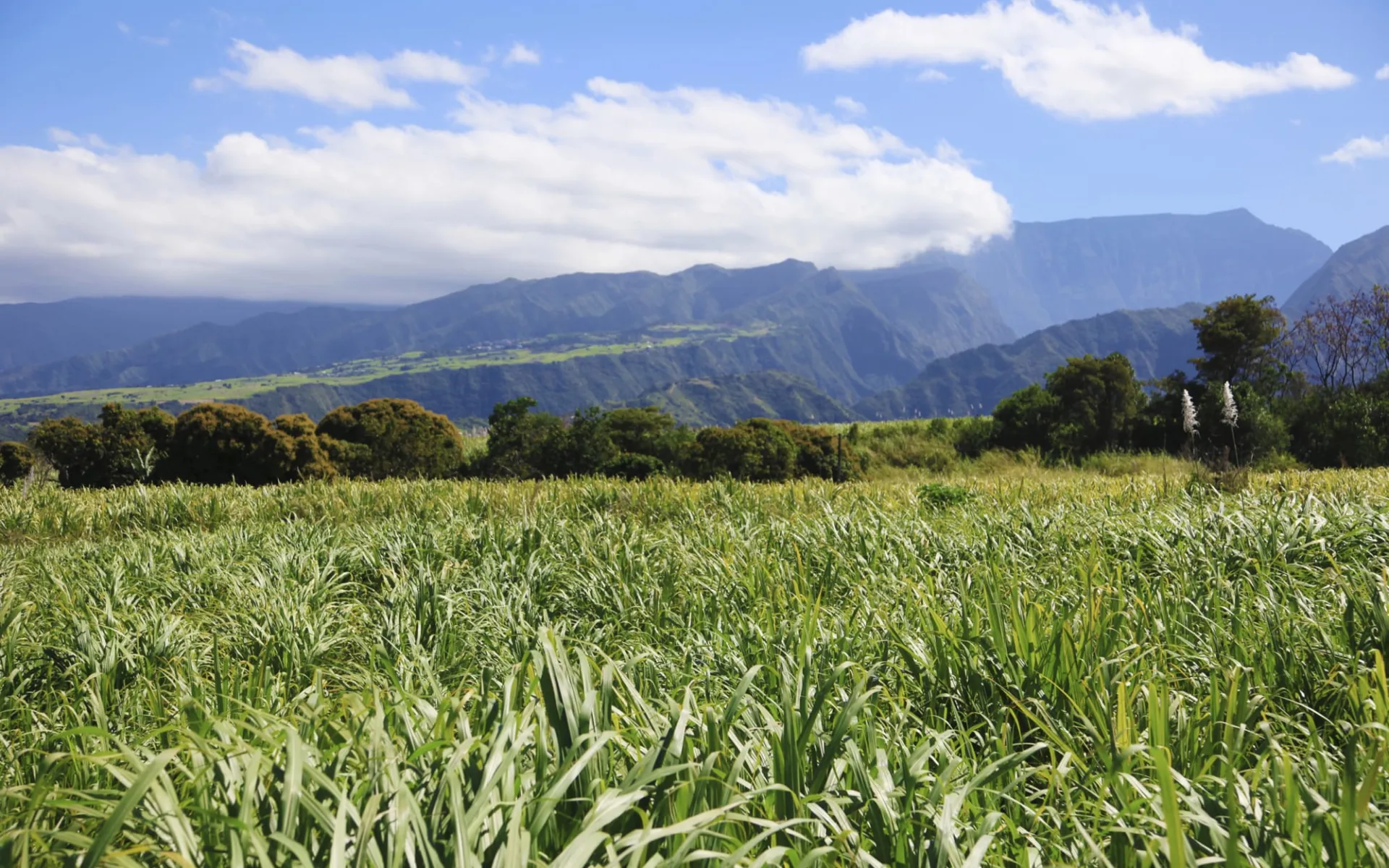 La Réunion Nord-/Südküste ab Saint-Denis: Saint-Pierre