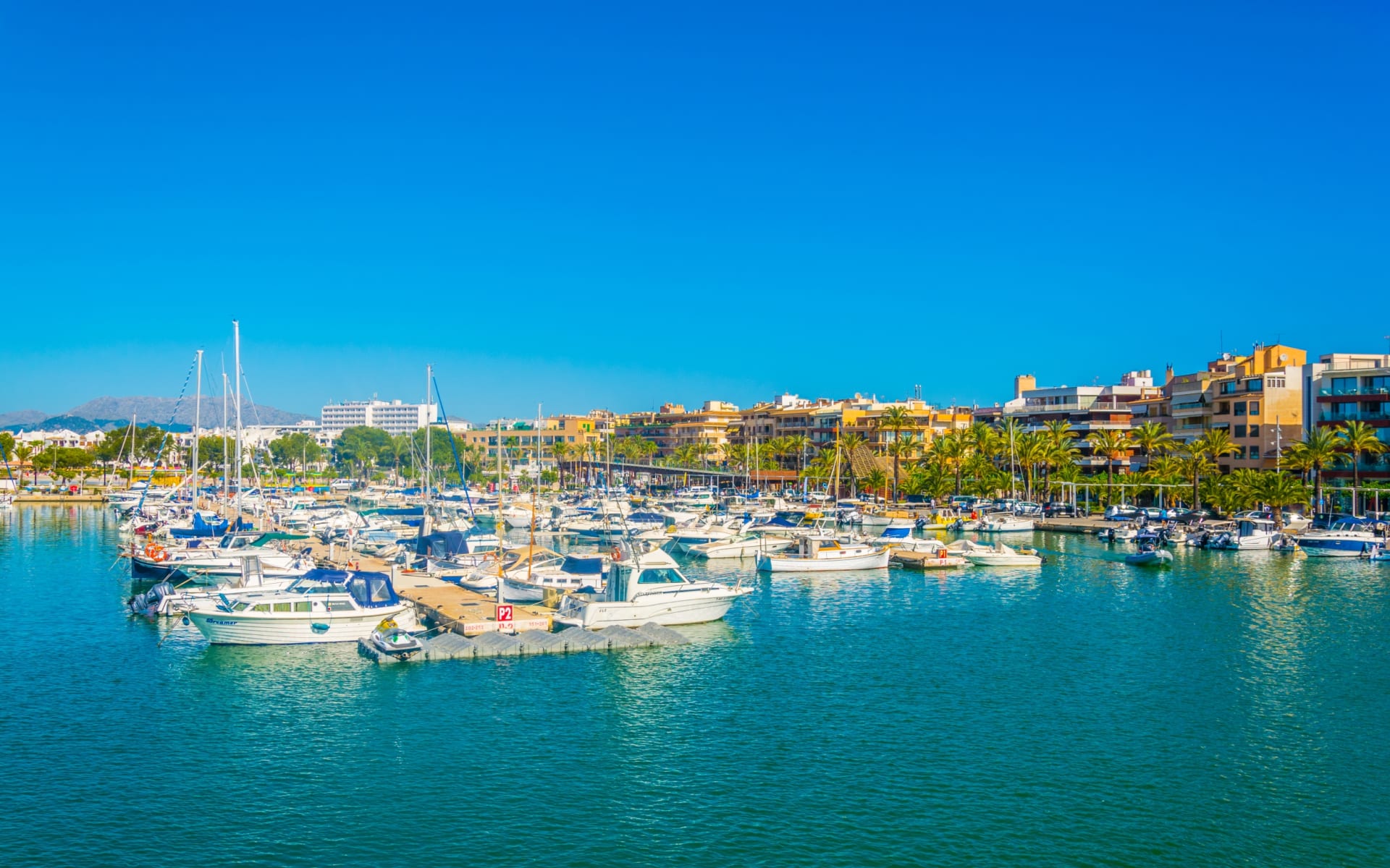 Badeferien im Iberostar Alcudia Park ab Mallorca: shutterstock_1140493073_Alcudia_Iberostar_Alcudia