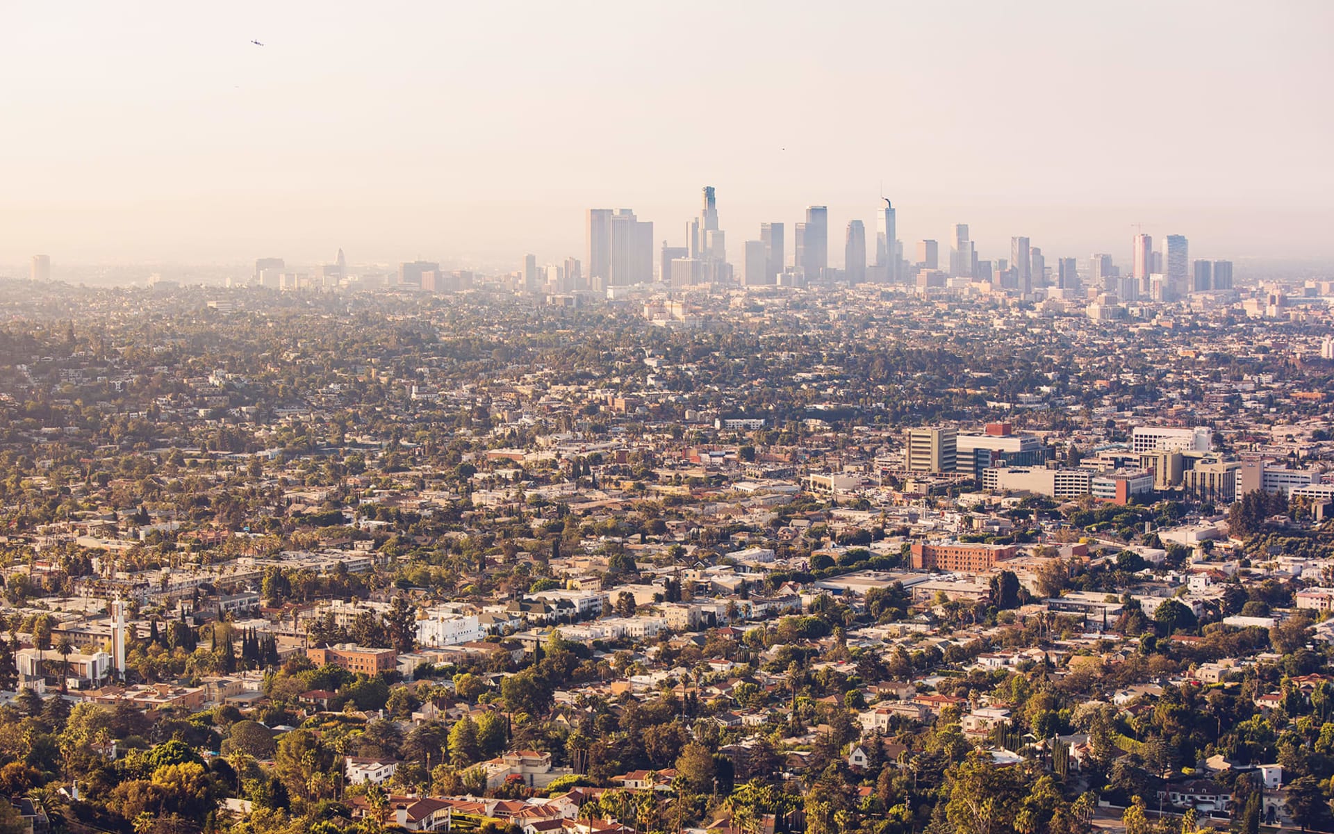 Los Angeles Airport Marriott: shutterstock_1203496585.jpg_WEB