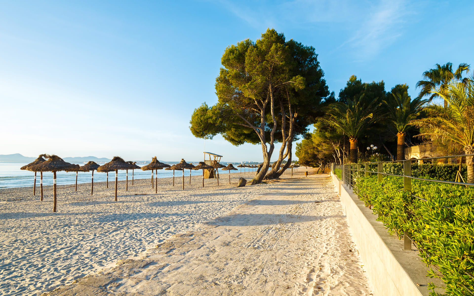 Badeferien im Aparthotel Alcudia Garden ab Mallorca: shutterstock_136301534_Alcudia_Garden