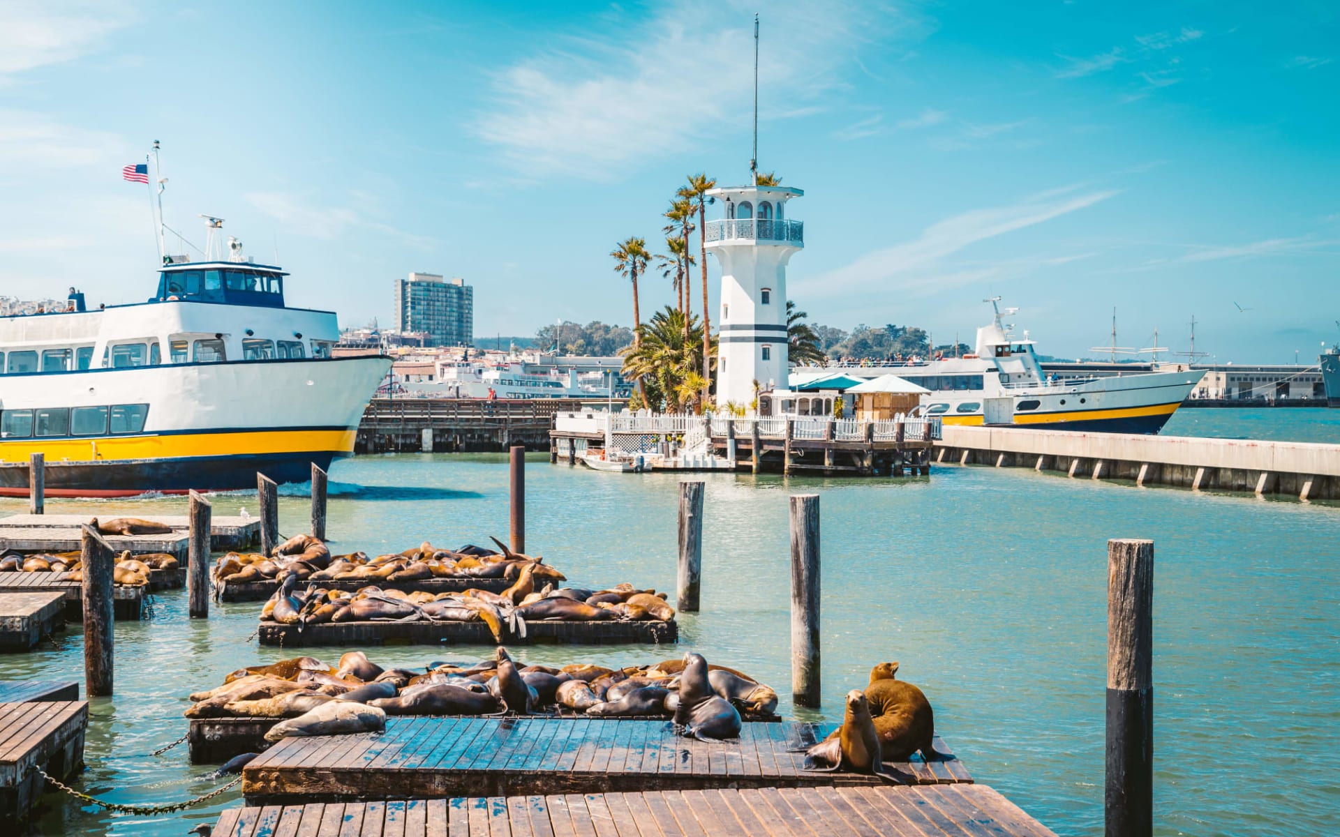 RIU Plaza Fisherman’s Wharf in San Francisco: shutterstock_1396893035_sanfran7