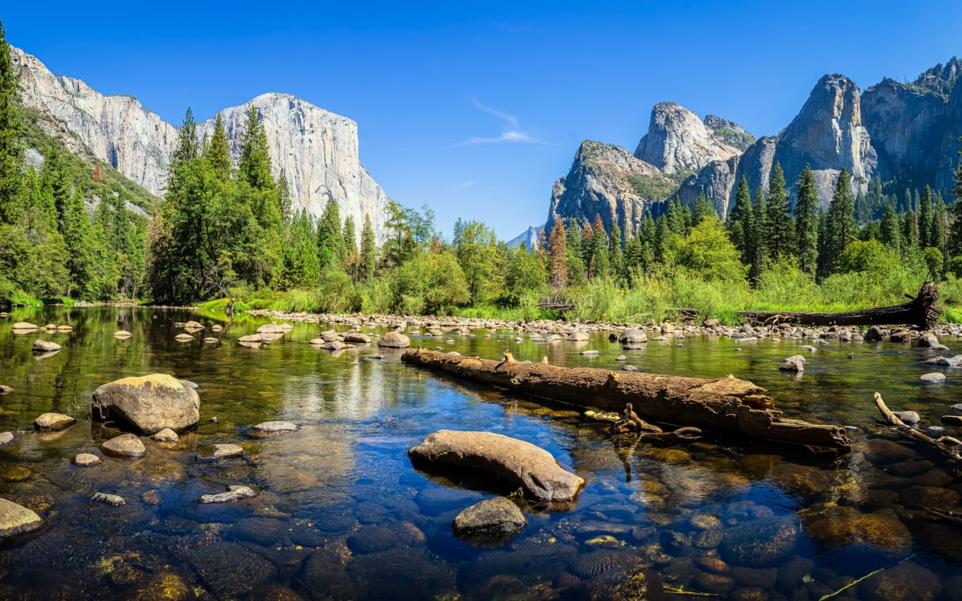 Yosemite Cedar Lodge in Yosemite - El Portal: shutterstock_1689107770_yosemite