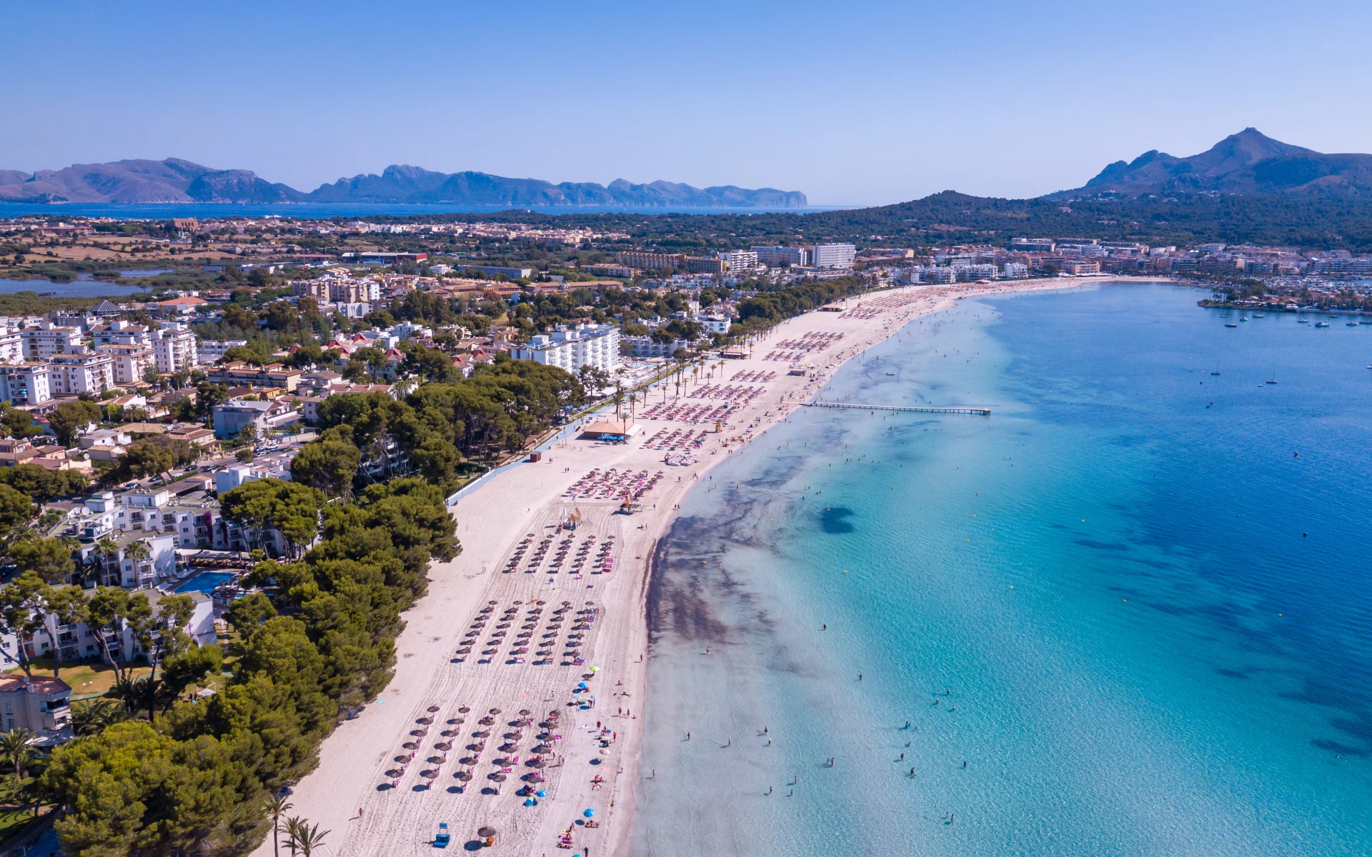 Badeferien im Iberostar Alcudia Park ab Mallorca: shutterstock_1736405153_AlcudiaI_Iberstar_Alcudia