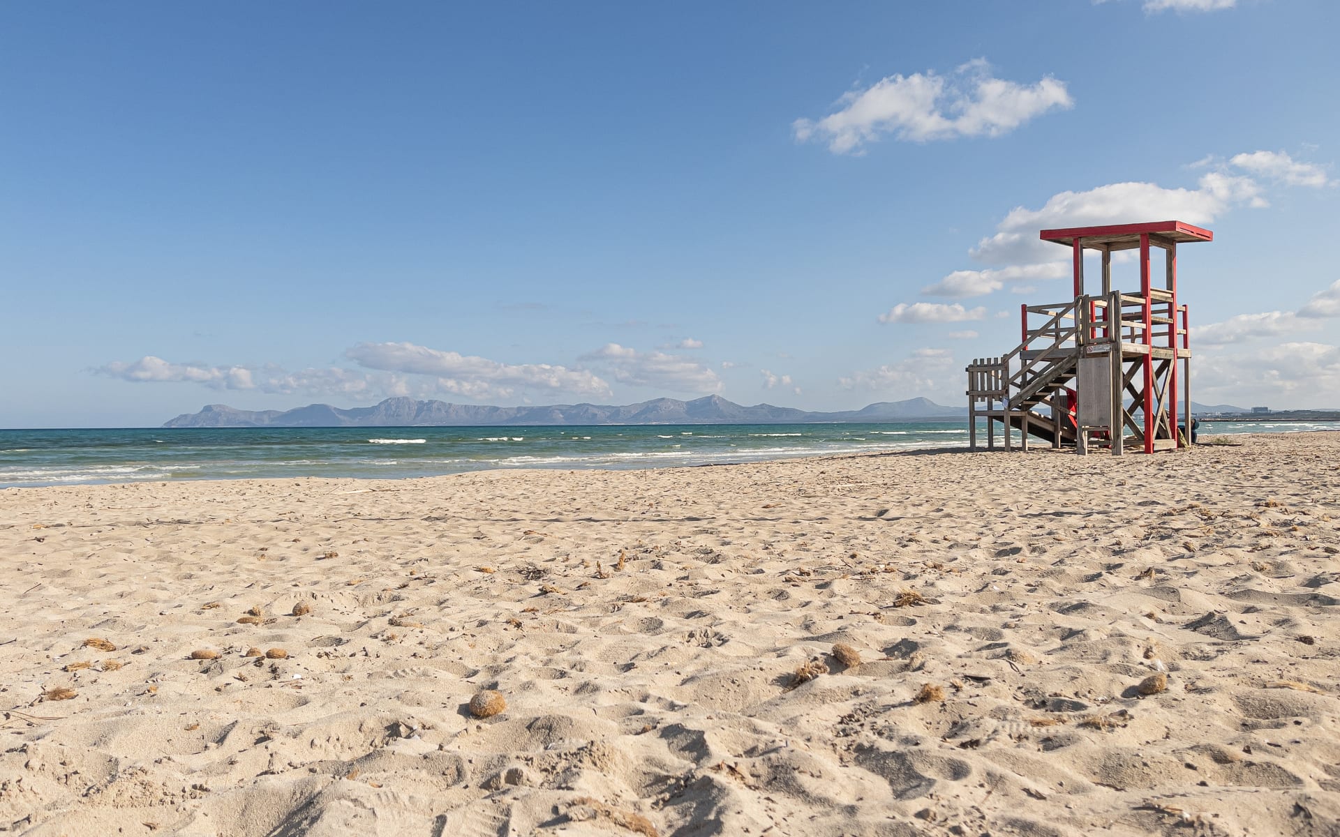 Badeferien im Iberostar Playa de Muro ab Mallorca: shutterstock_1926325547_Playa_de_Muro_Iberostar