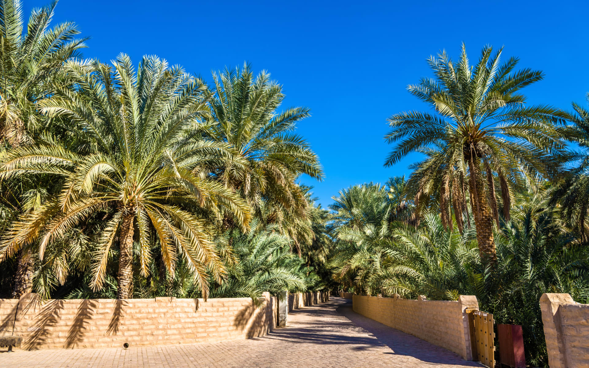 abo+ Leserreise Abu Dhabi & Oman: shutterstock_366325115_Al Ain